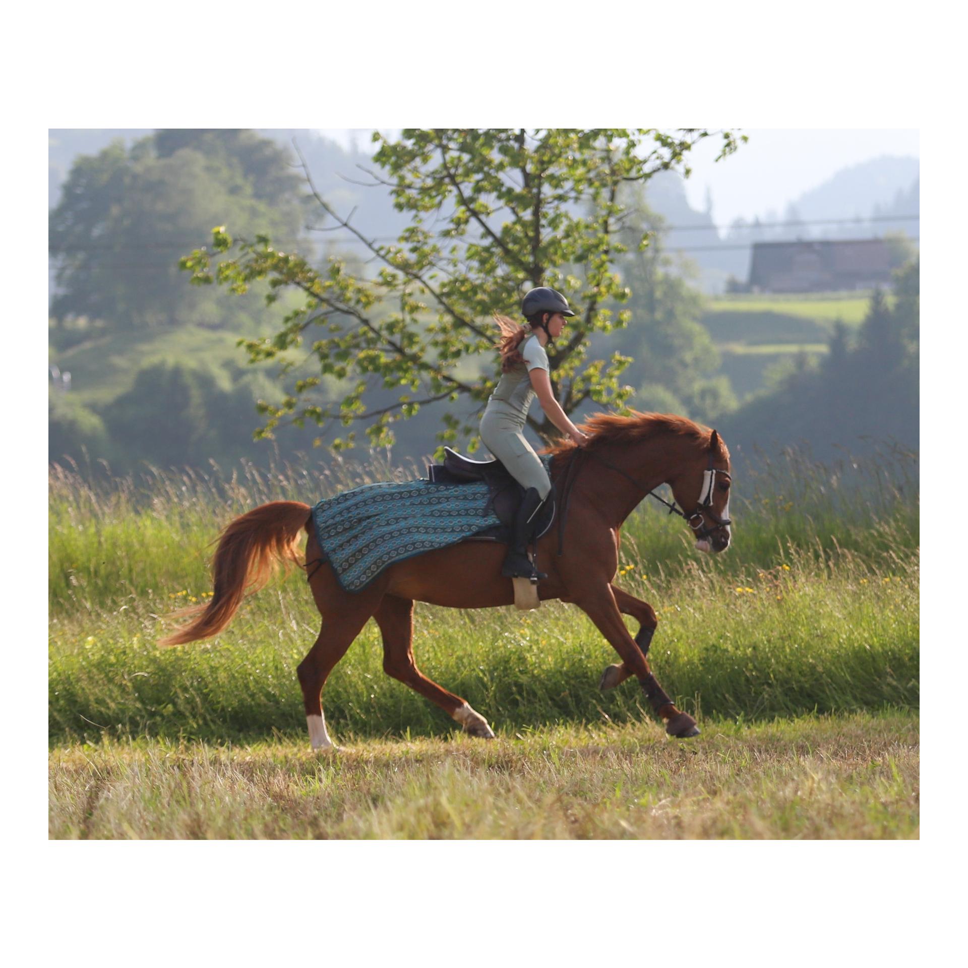 Reit-Fliegendecke Summer Stroll Reit-Fliegendecke Summer Stroll