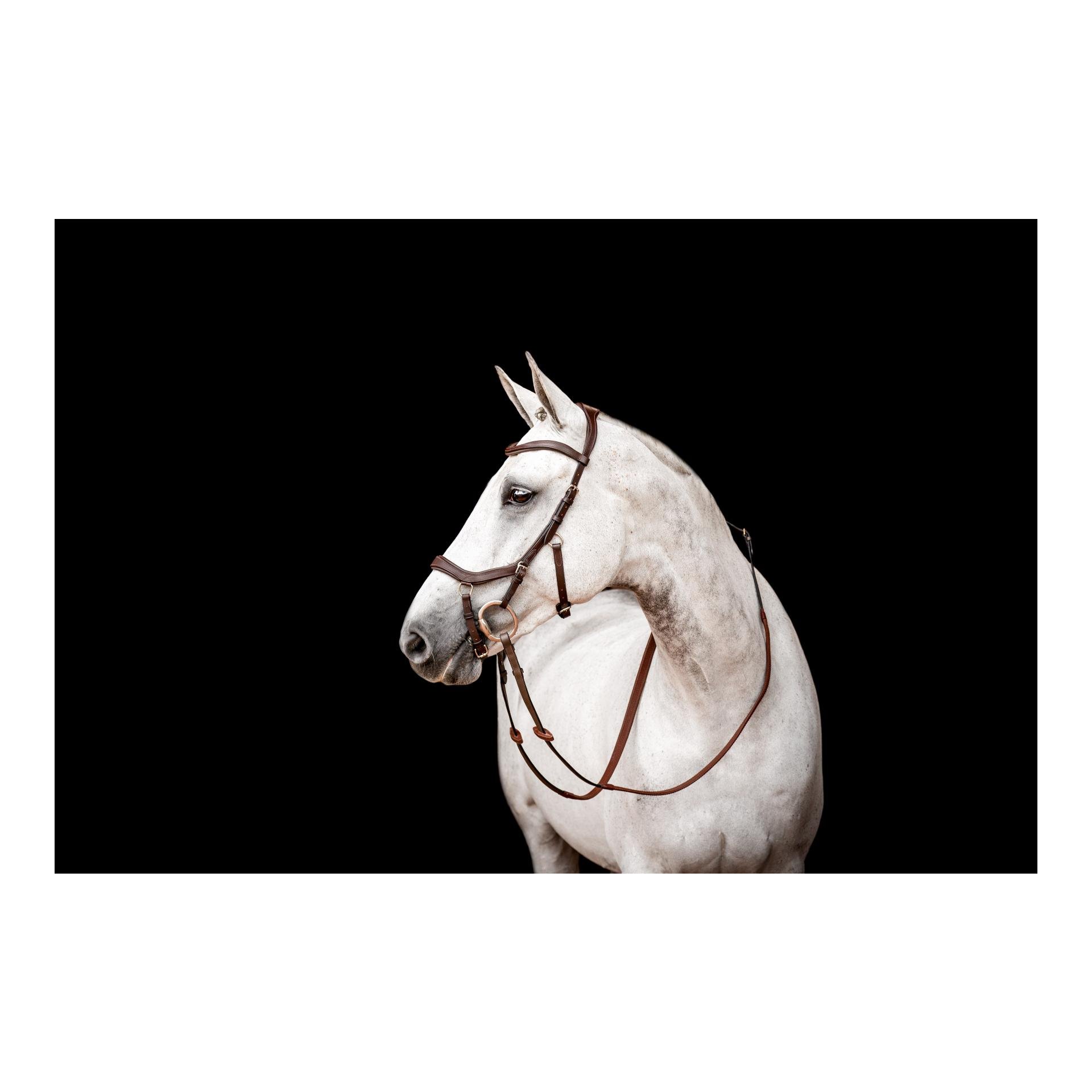 Zaum Micklem3 Competiton ohne Zügel