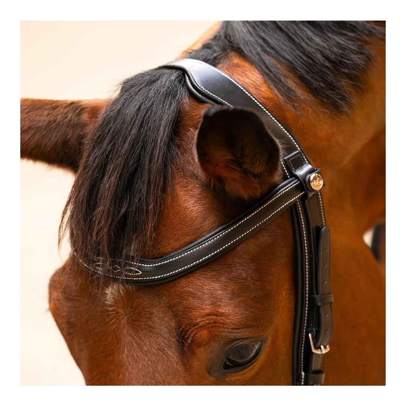 PresTeq Zaumzeug FaySport Classic 