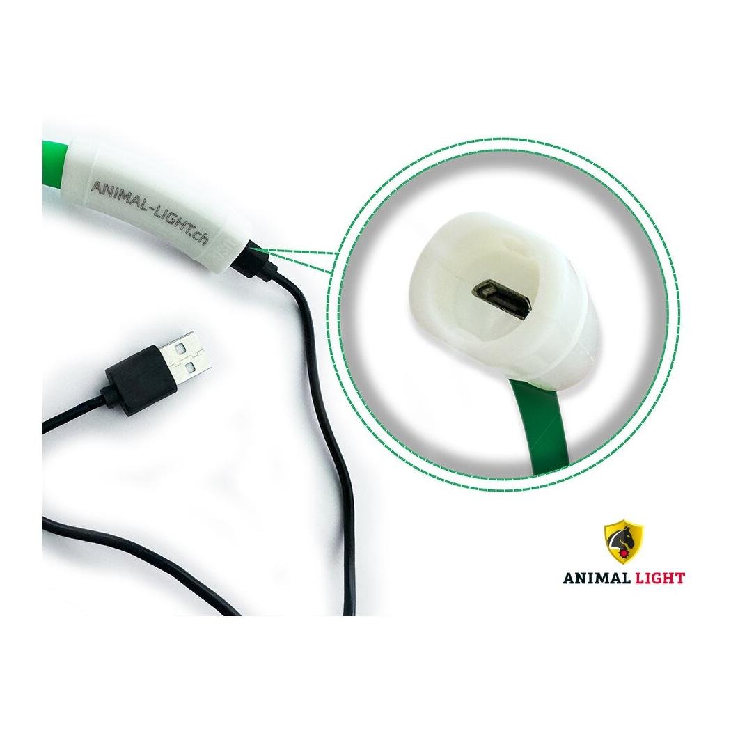 Leucht-Hundehalsband Flex Leucht-Hundehalsband Flex