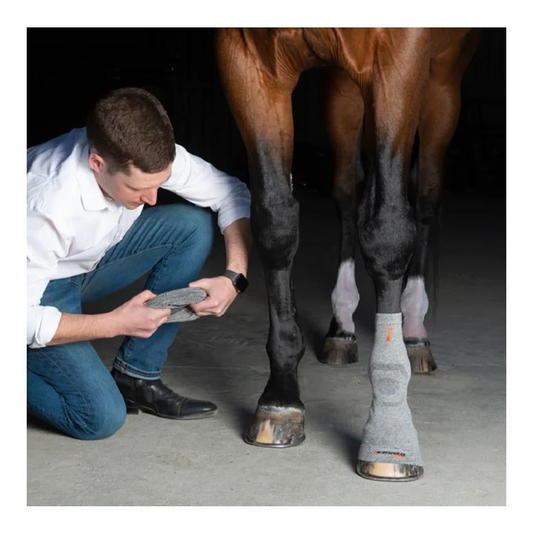 Incrediwear Equine Strümpfe Circulation kurz (Paar)