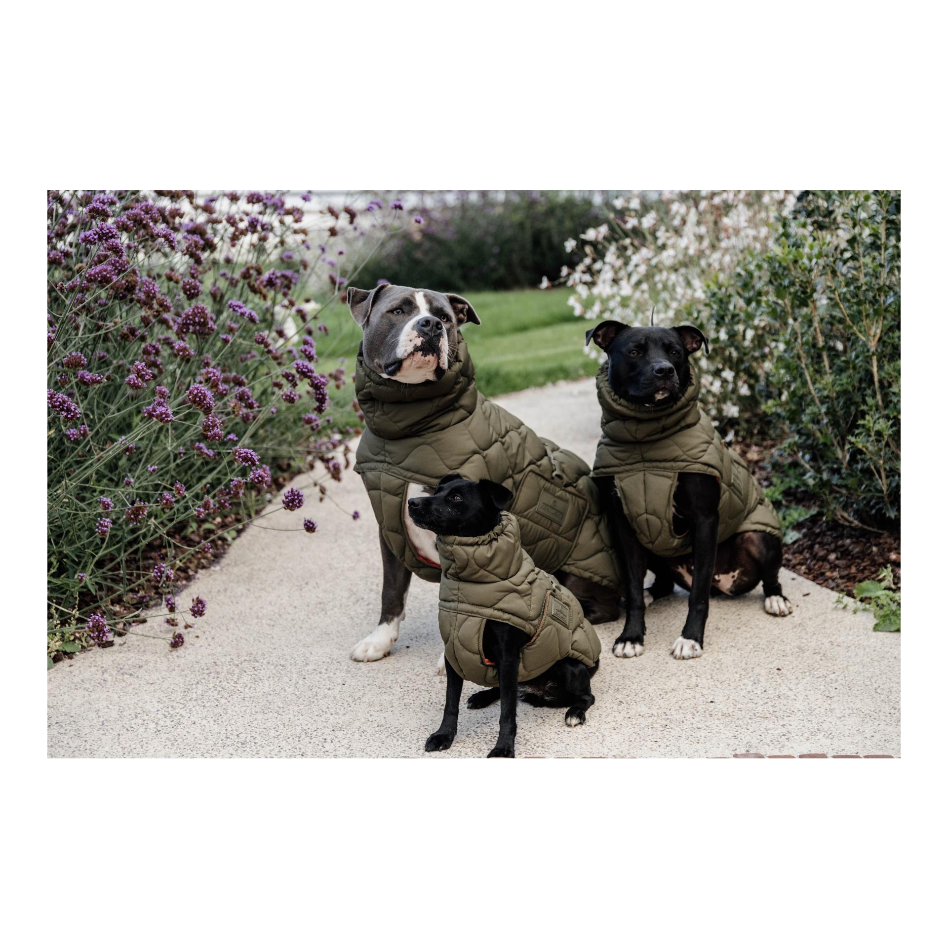 Manteau pour chien Pina - 160g