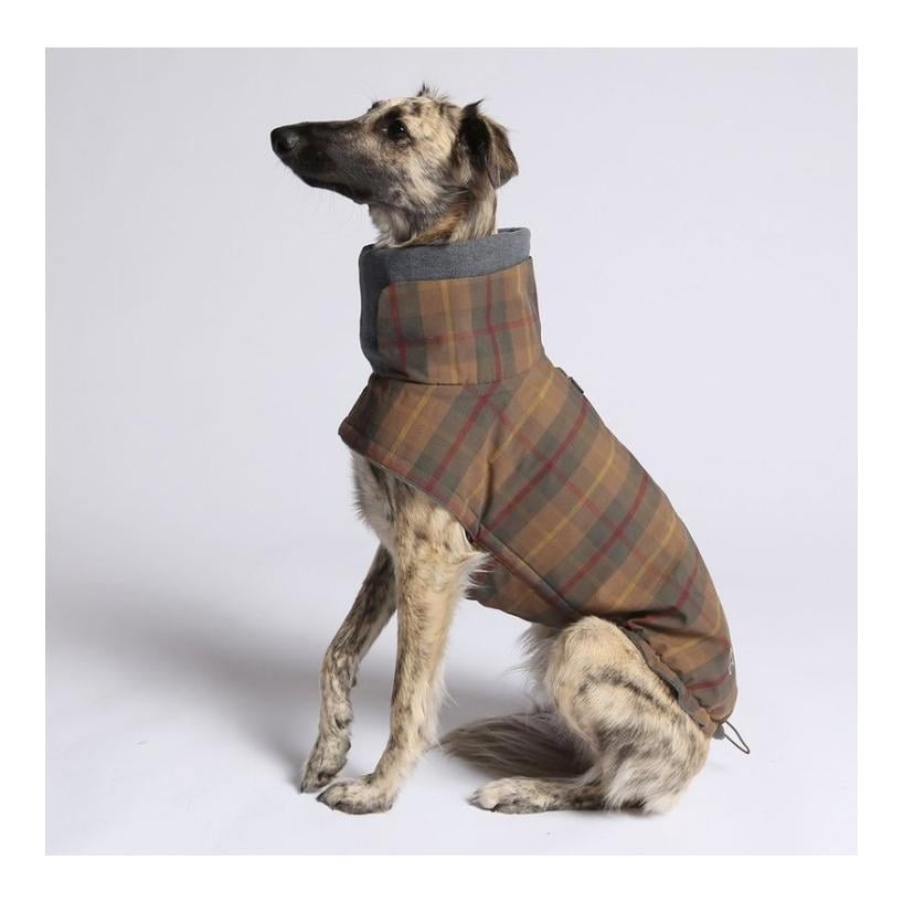 Hundemantel Brooklyn Regulär - waxed tartan