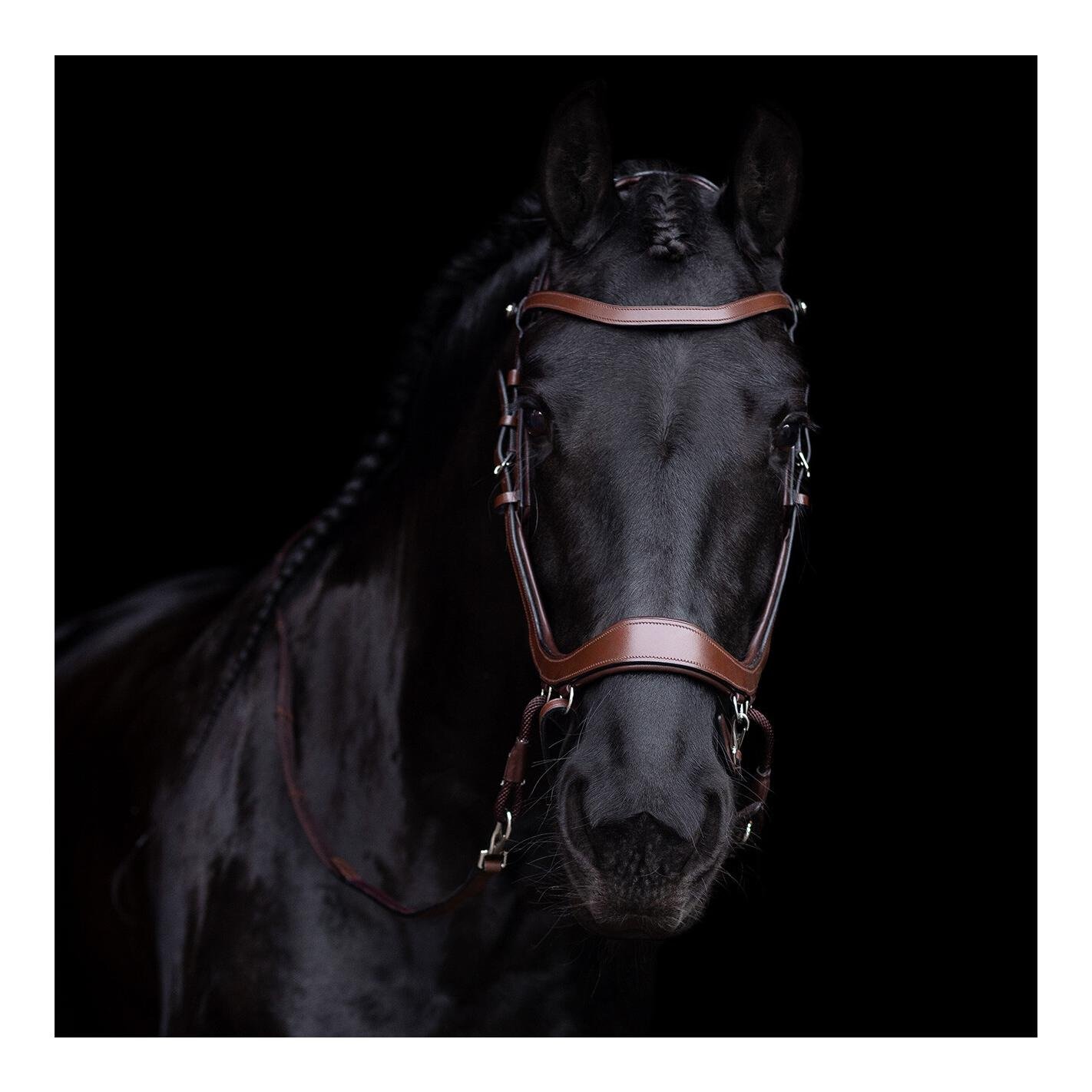 PresTeq Bride sans mors FaySport