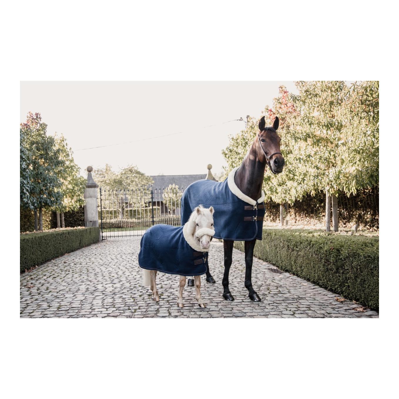 Abschwitzdecke Fleece Show - navy Abschwitzdecke Fleece Show - navy