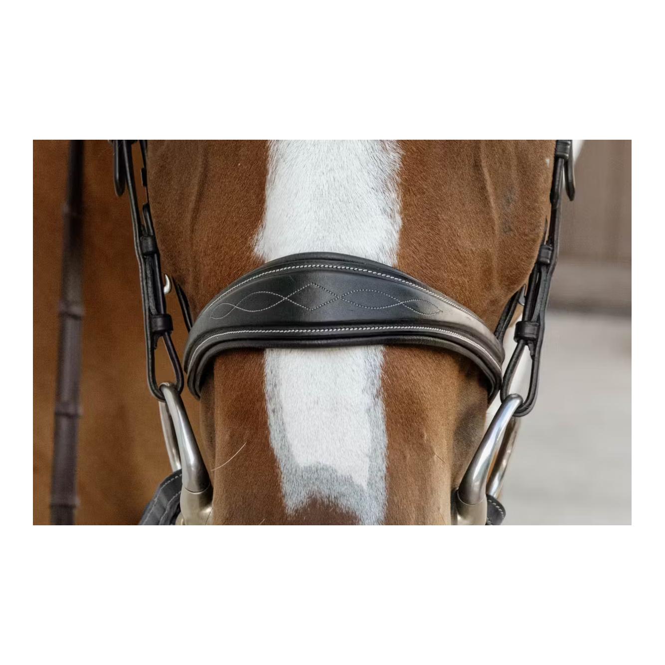 Anatomic noseband without flash D Collection Anatomic noseband without flash D Collection
