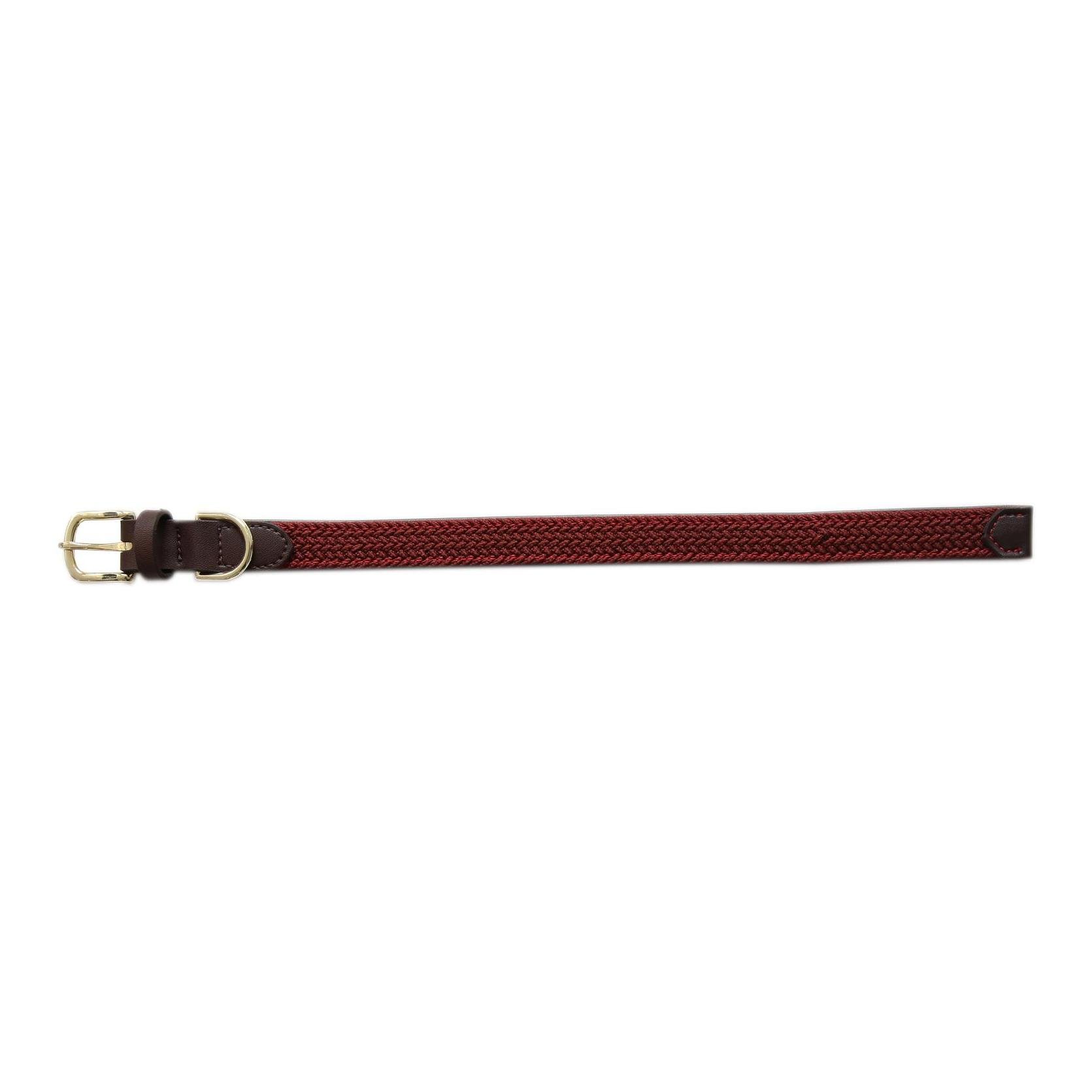 Hundehalsband Nylon geflochten - bordeaux Hundehalsband Nylon geflochten - bordeaux