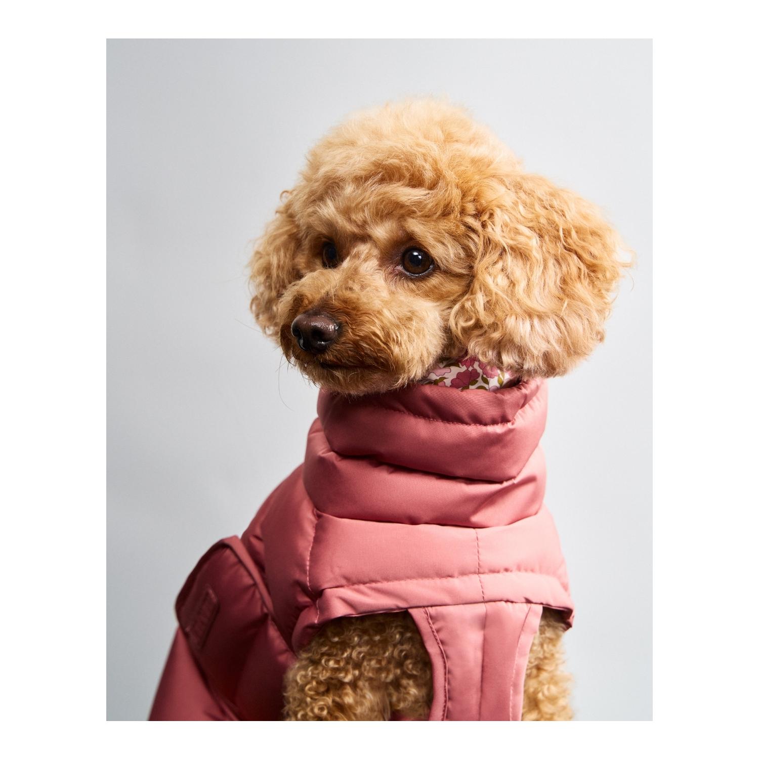 Cloud 7 Winter Hundemantel Alaska Regular