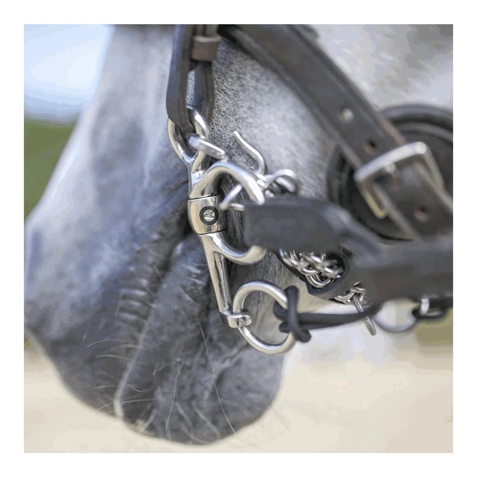 Sprenger CM Pelham - Sensogan 16 mm