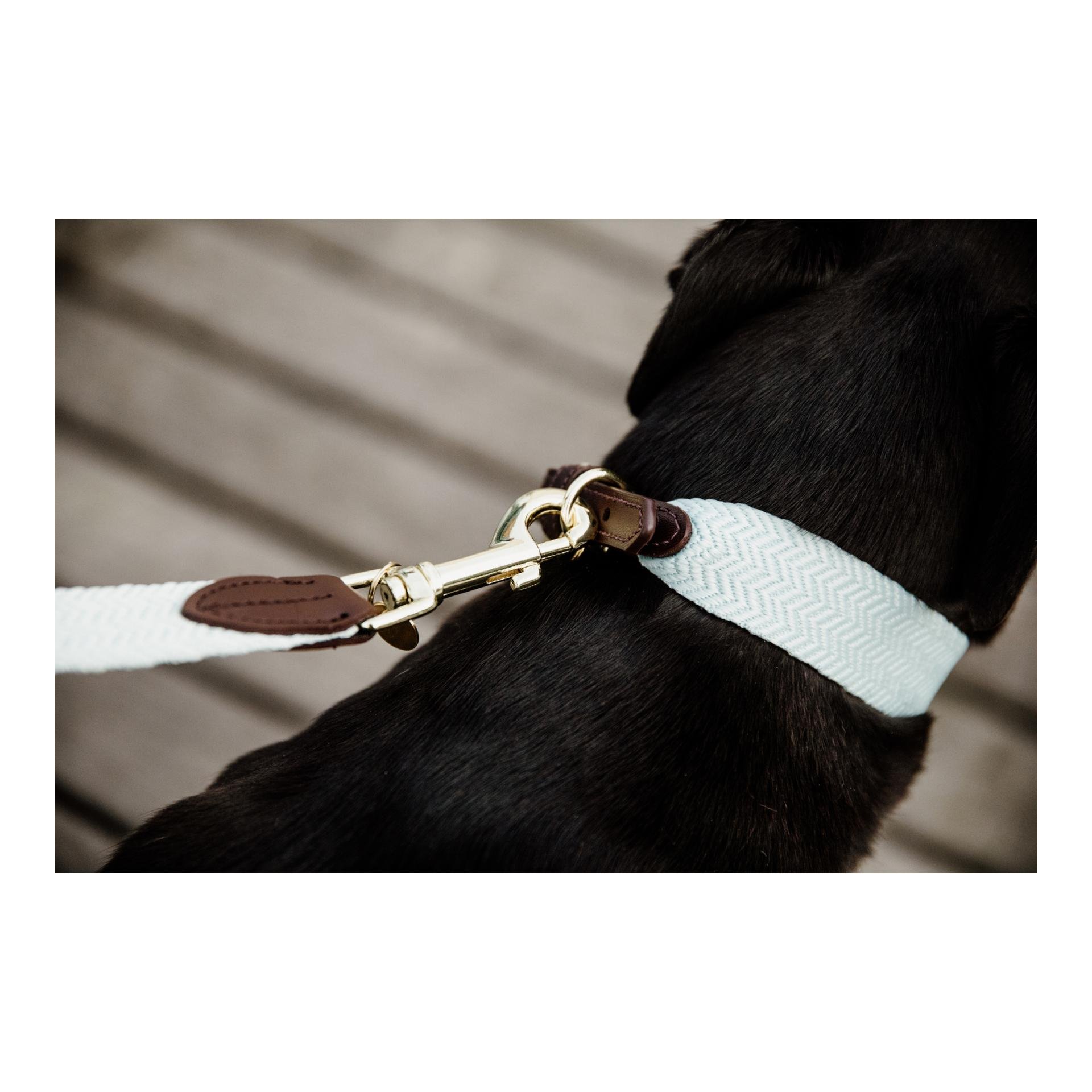 Hundeleine Jacquard - hellblau Hundeleine Jacquard - hellblau