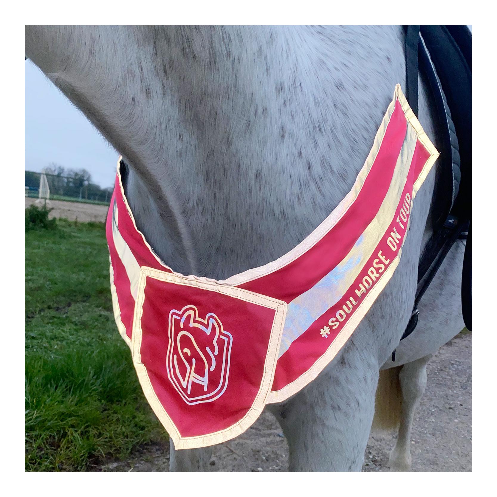 Leuchtvorderzeug Leuchtvorderzeug