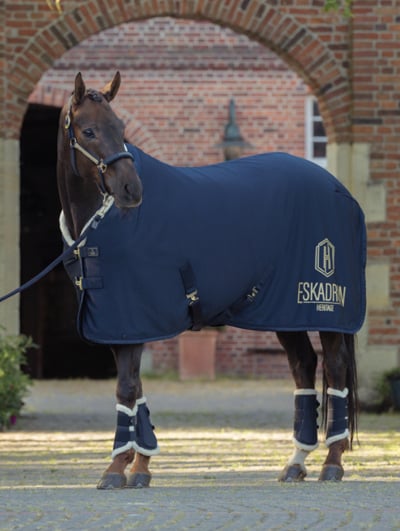 RS-Shopbanner-Eskadron