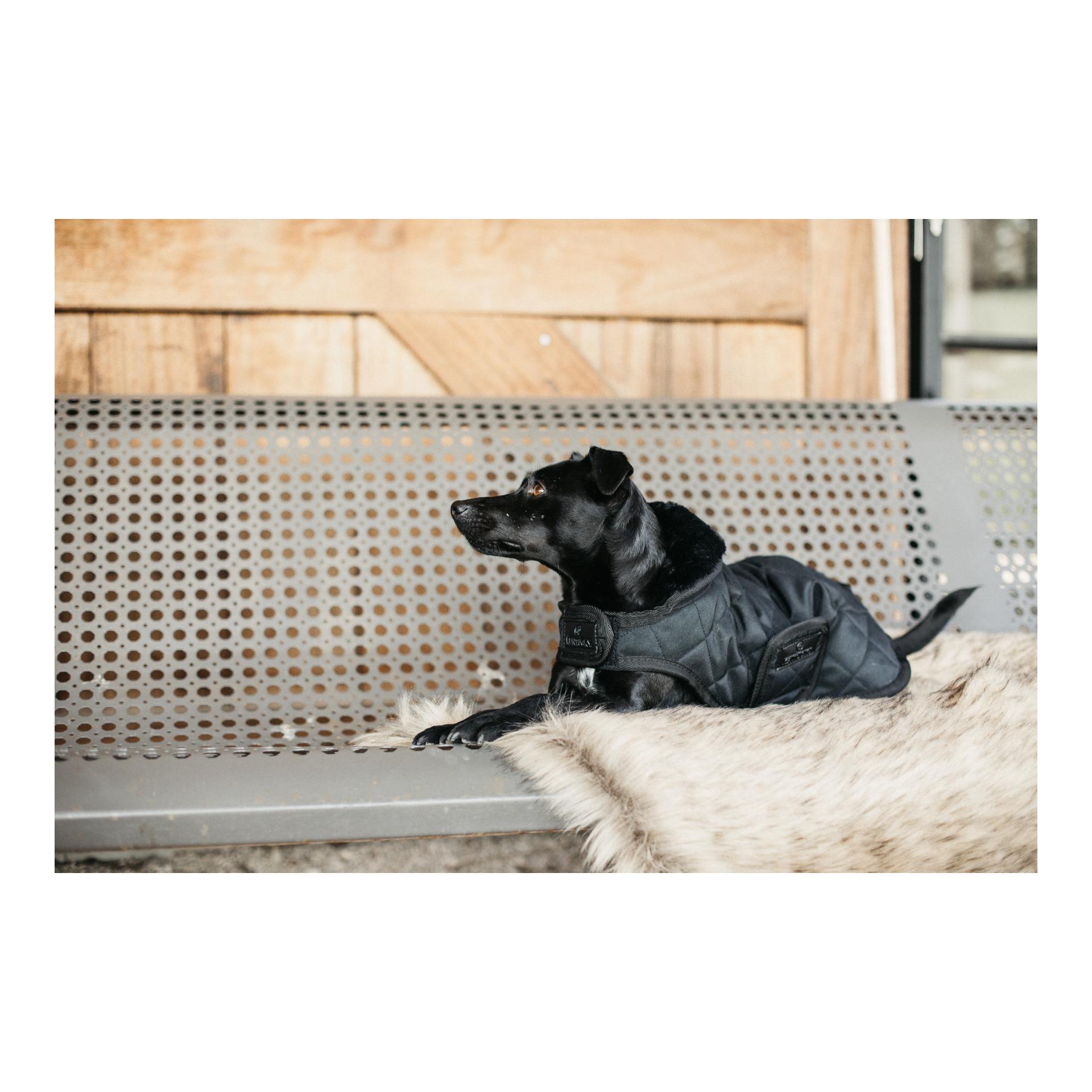 Hundemantel Original - black/black Hundemantel Original - black/black