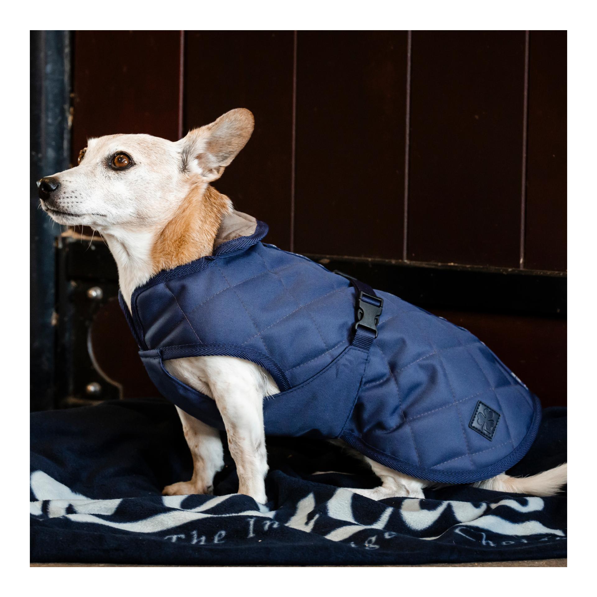 Hundedecke  Freedom Cosy