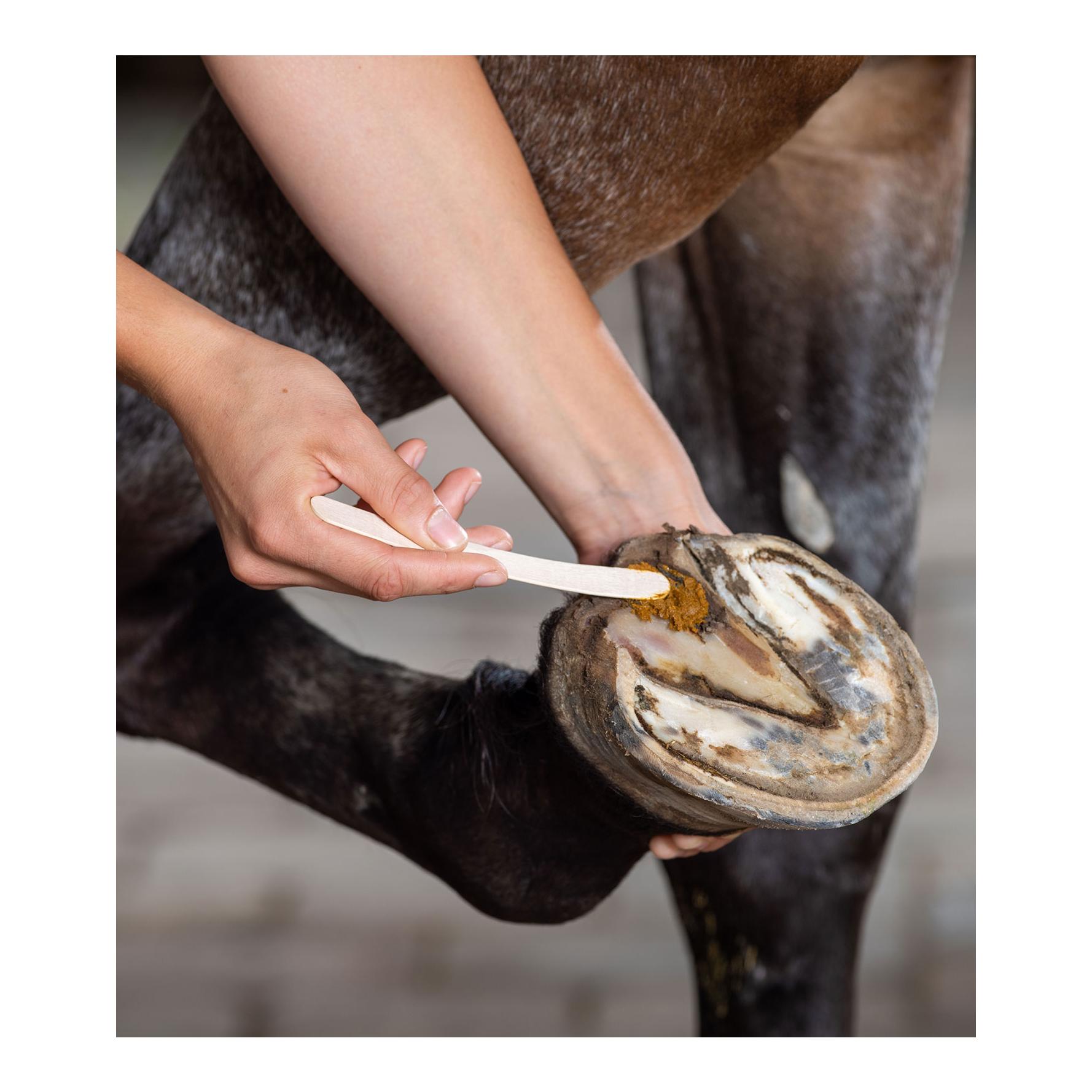 Undercover-Pflegepaste