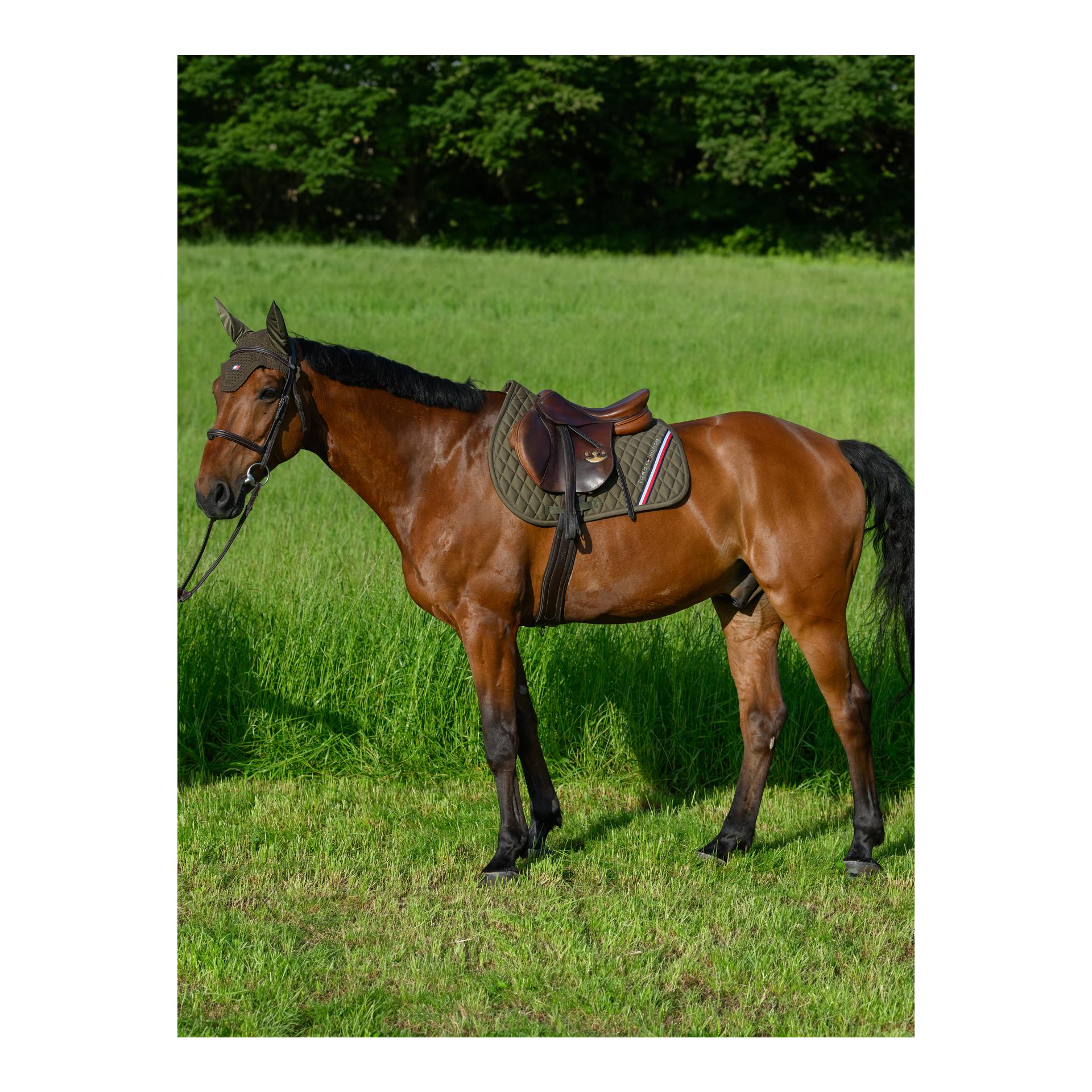 Schabracke Stanford Springen Schabracke Stanford Springen