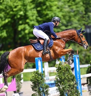 Botschafter-Louis_Muff