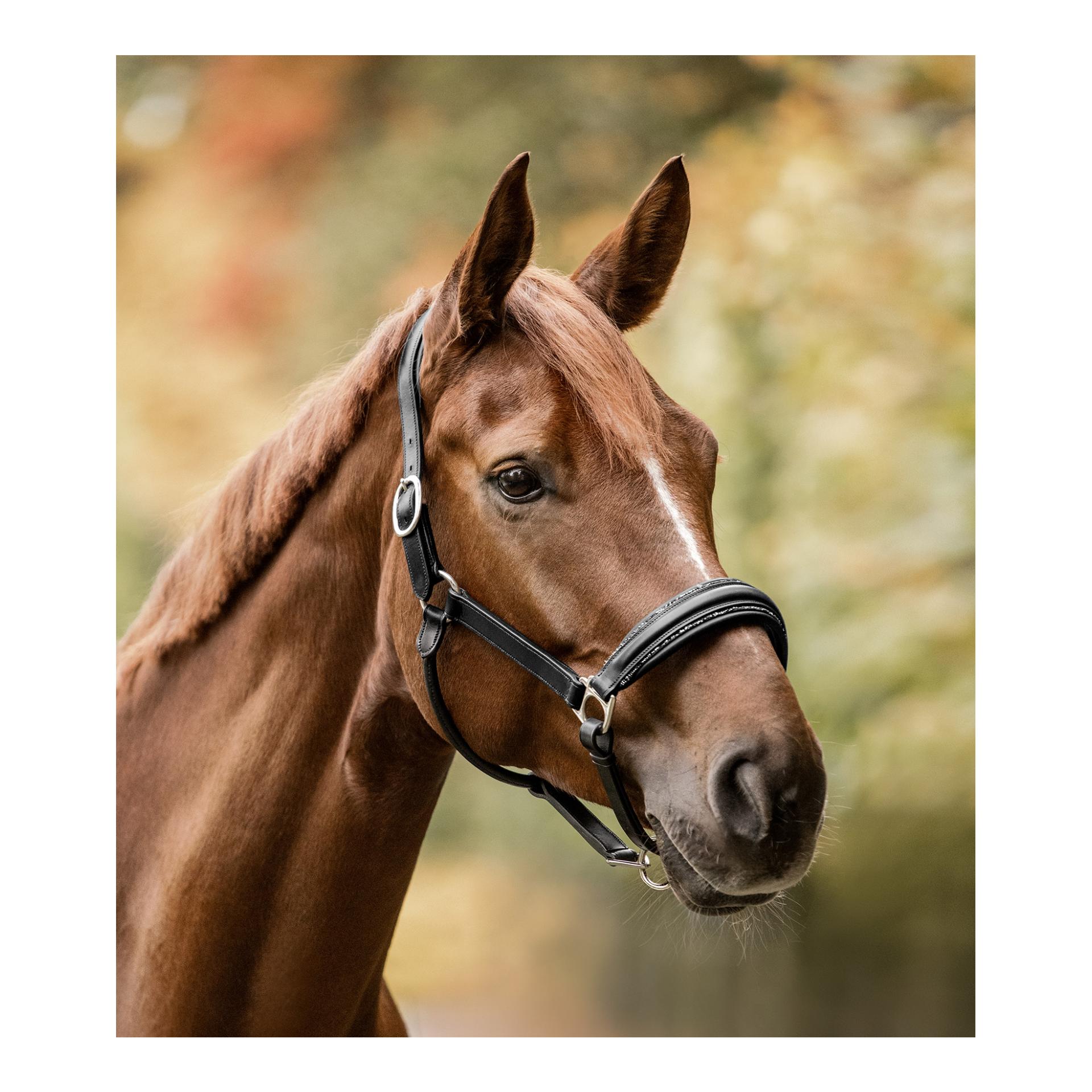 Halfter S-Line Glamour