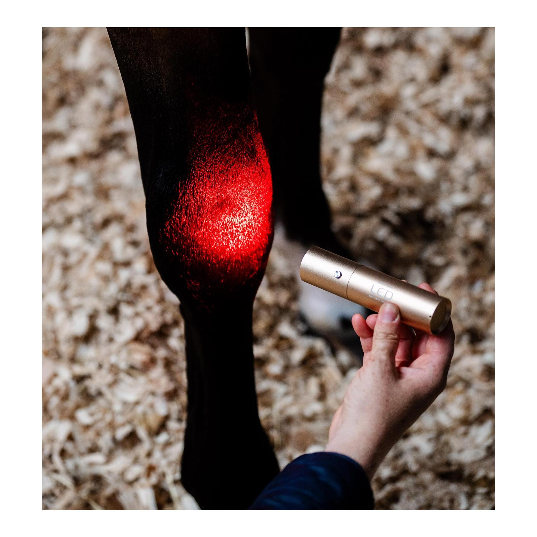 Horseware Bâton thérapeutique LED Thérapie par lumière rouge LED