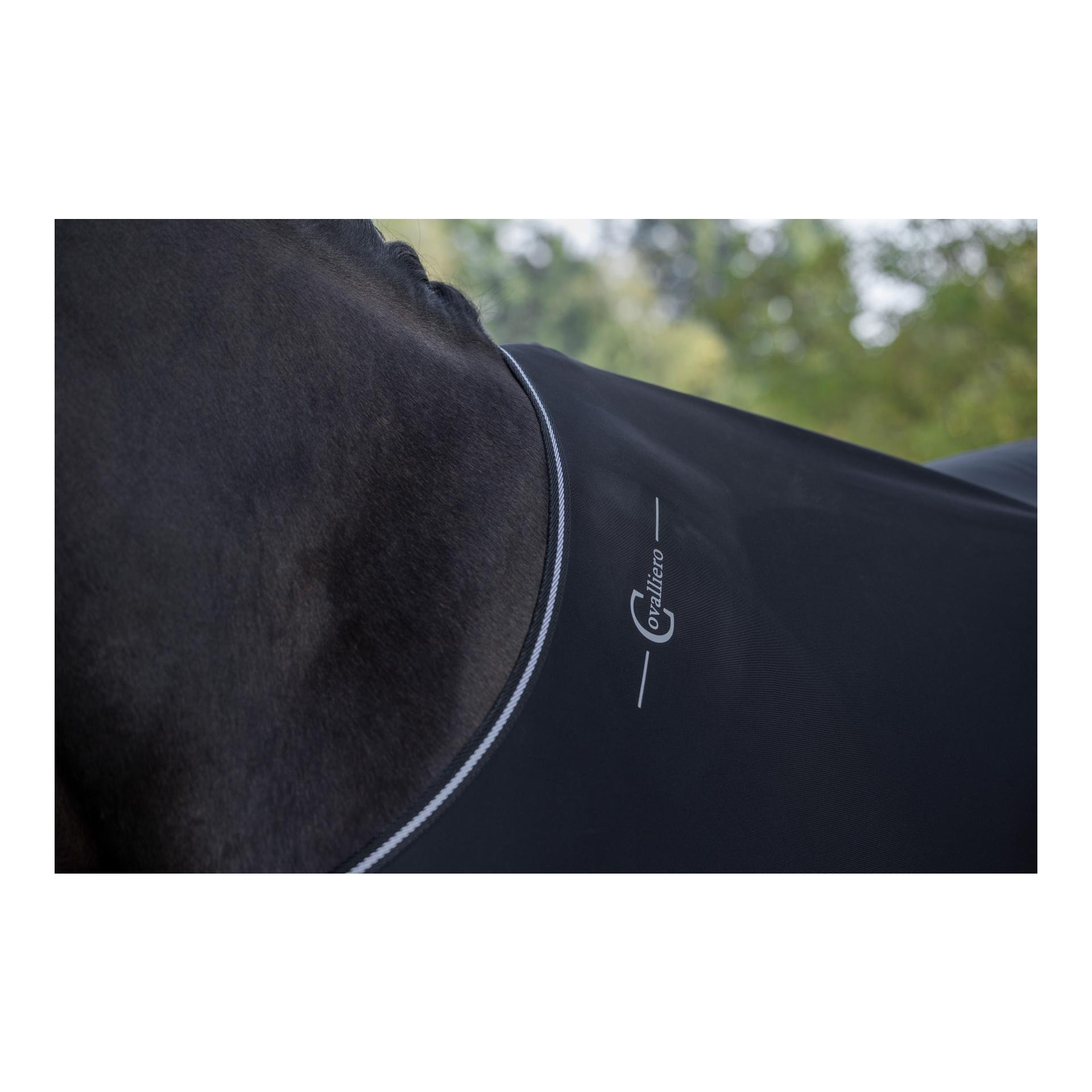 Führanlagendecke RugBe