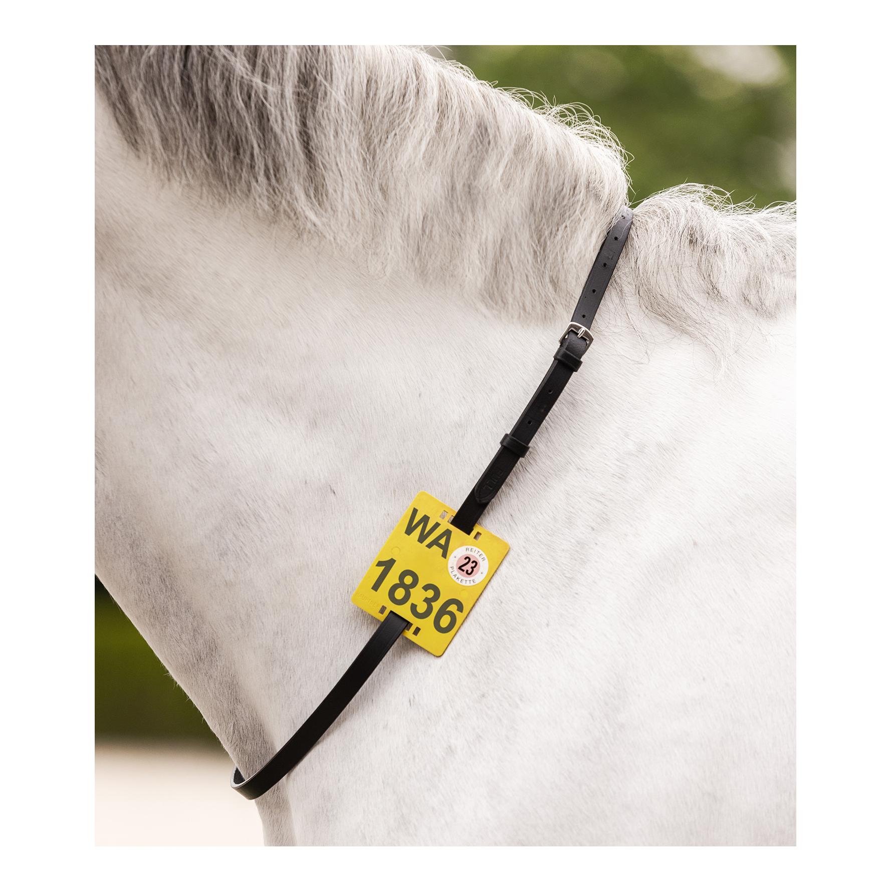 Ausreitriemen für Reitplakette