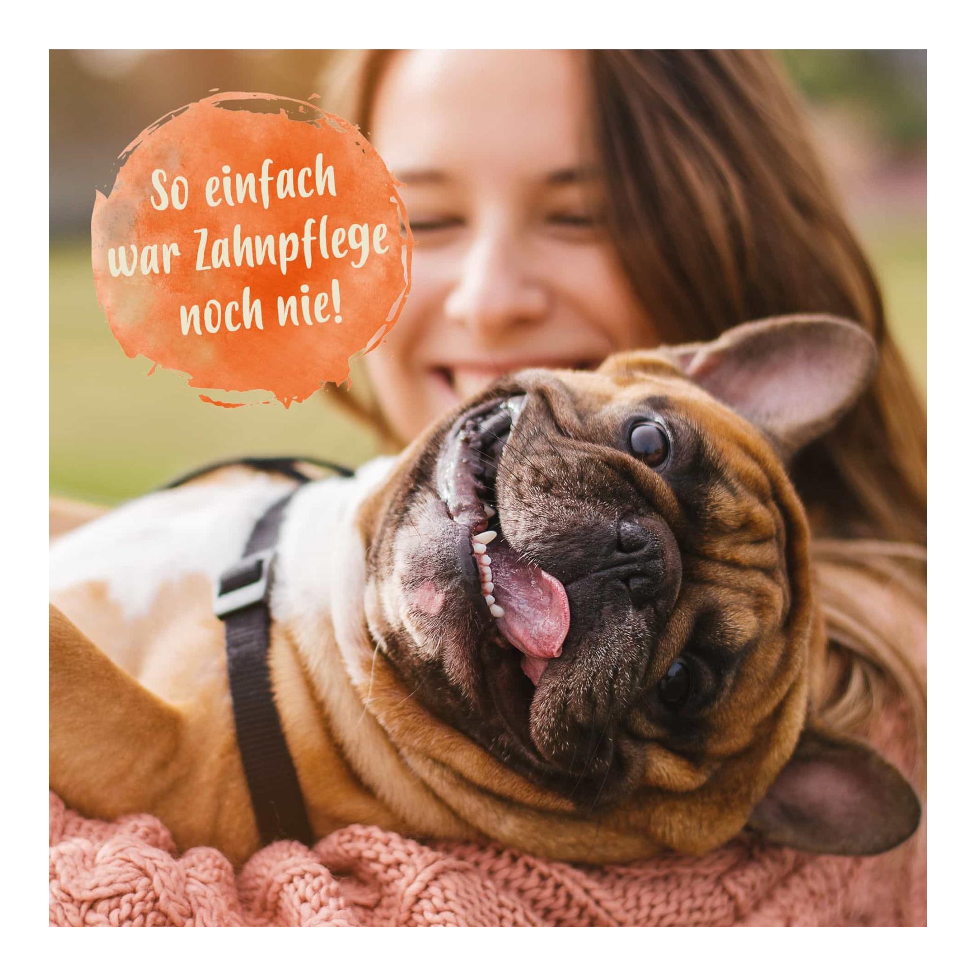 IdaPlus Denta Dog - kinderleichte Hunde Zahnpflege - stoppt Hunde Mundgeruch