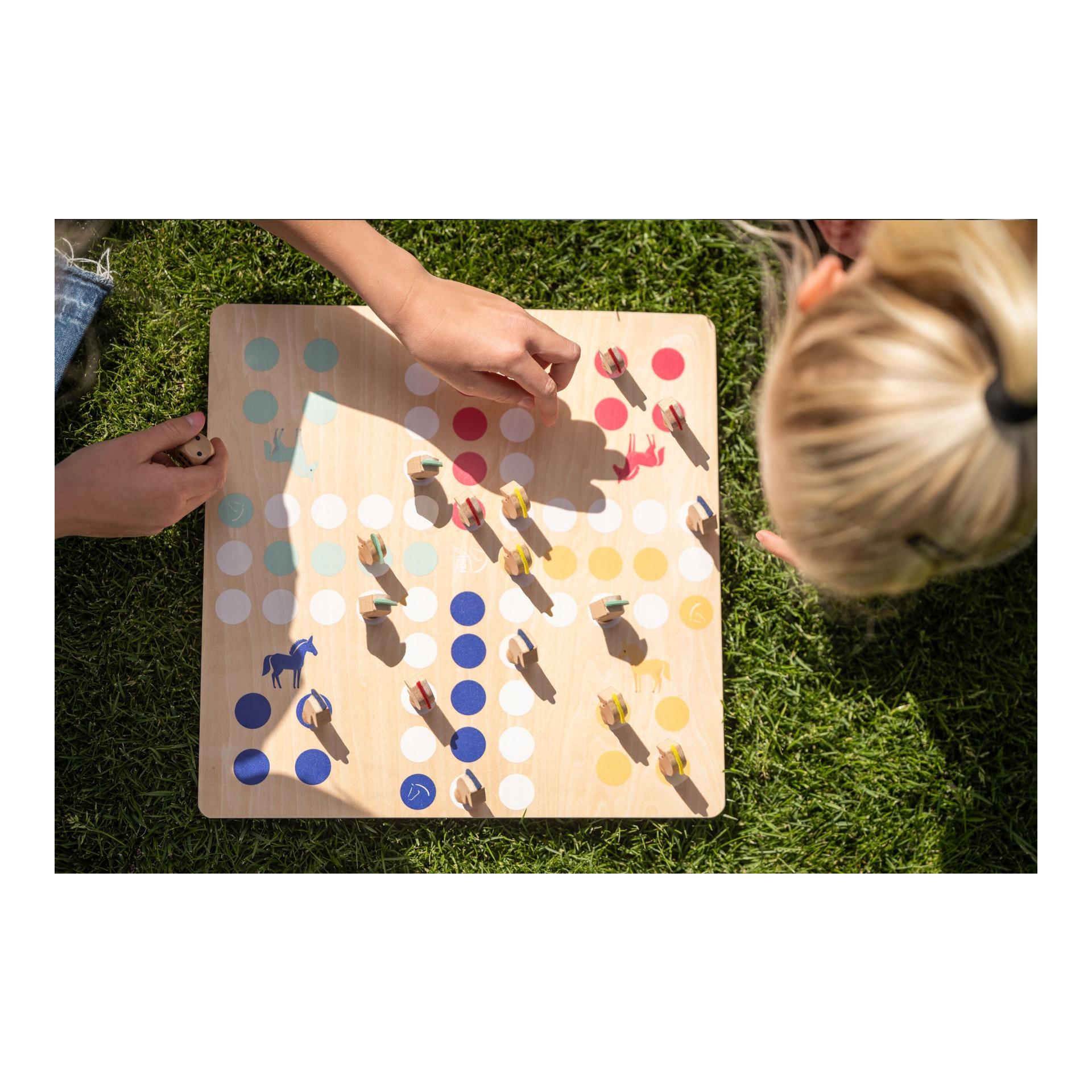 HKM Ab in den Stall - Spiel