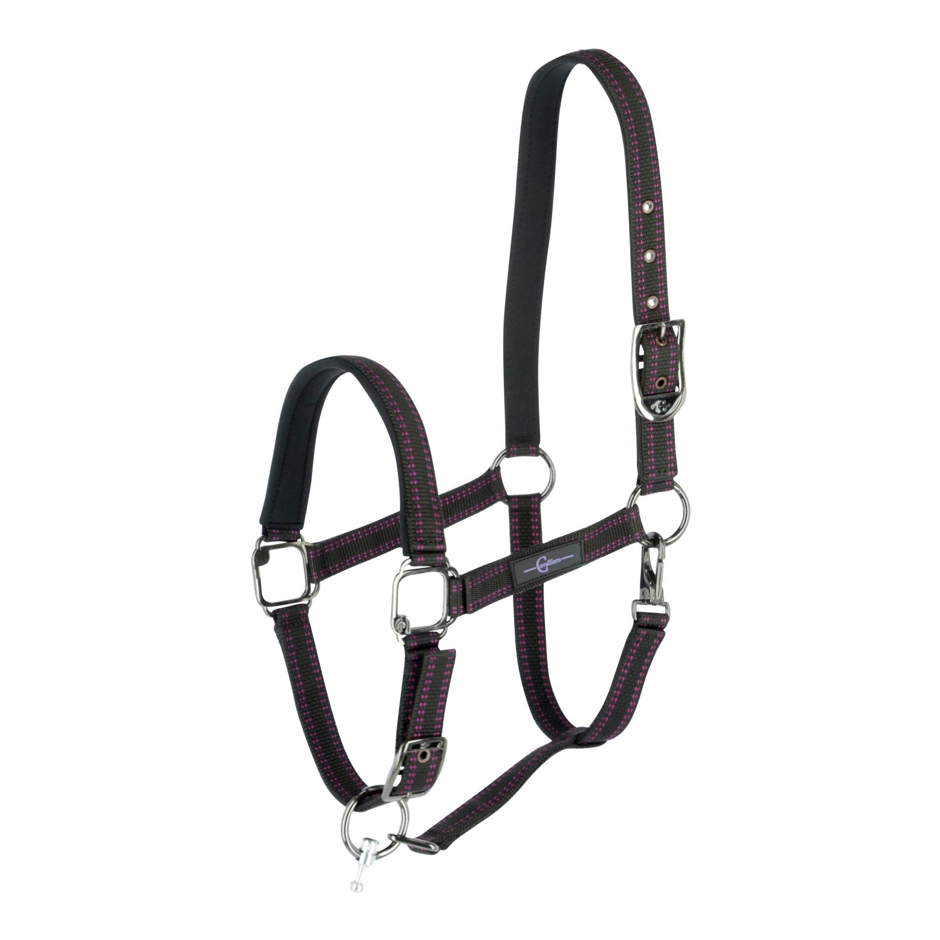 GoLeyGo 2.0 Halfter - schwarz/fuchsia GoLeyGo 2.0 Halfter - schwarz/fuchsia