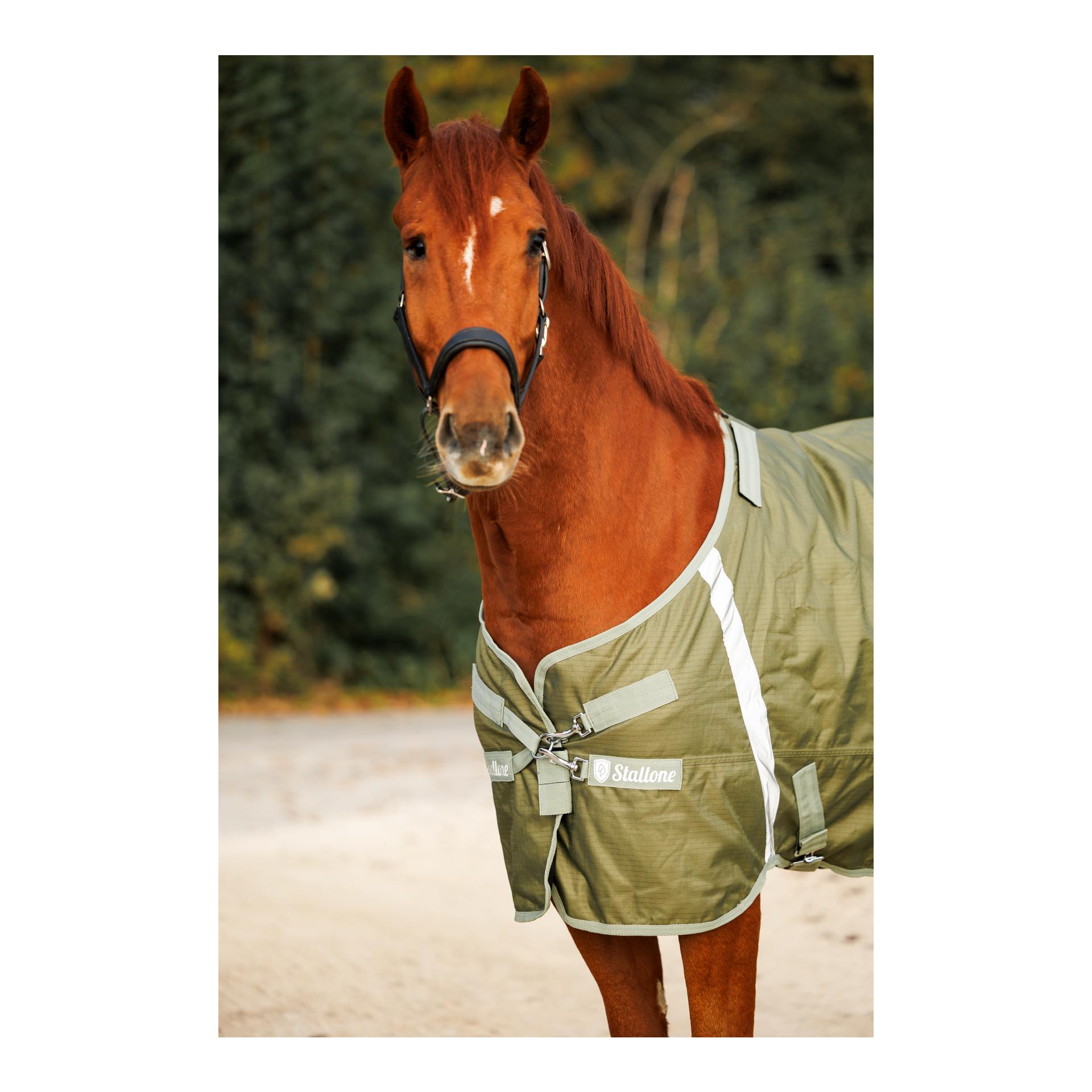 Weidedecke 100 g Outdoor Guard Weidedecke 100 g Outdoor Guard