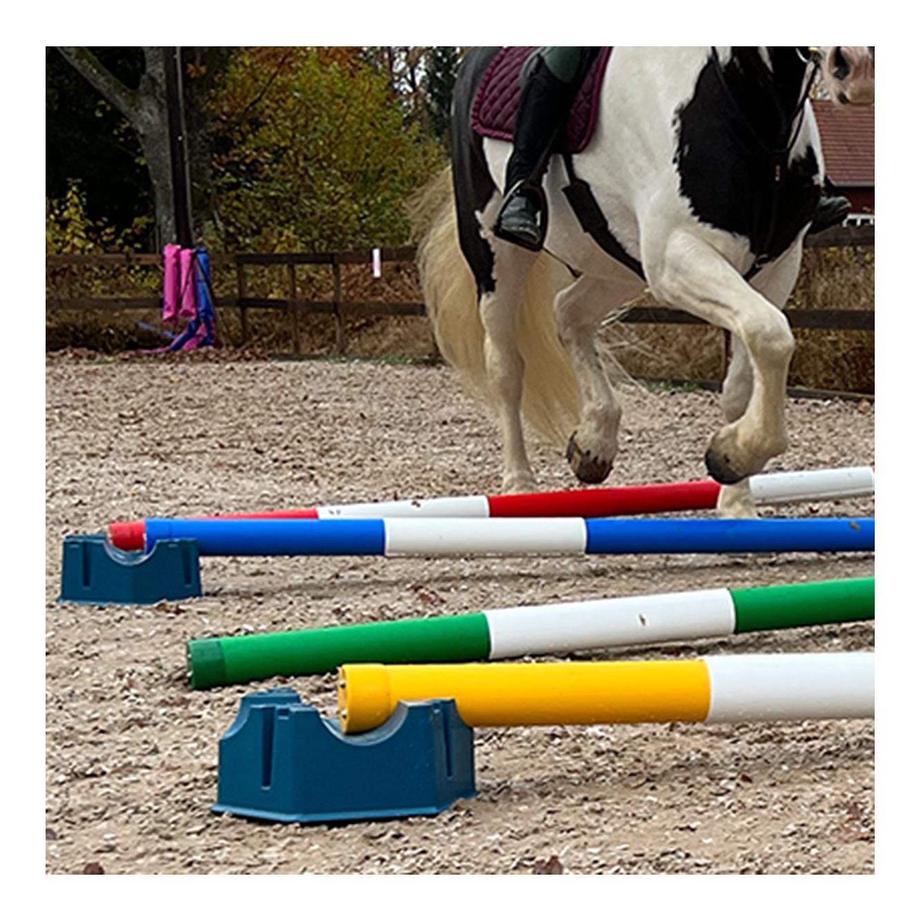 Soulhorse Ponylettis Stangenblock - petrol