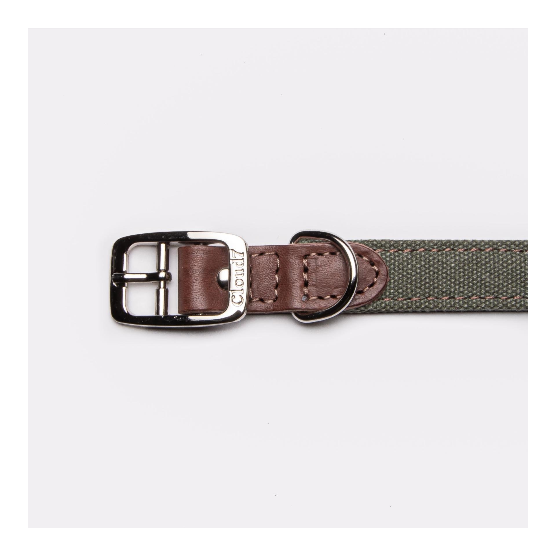 Hundehalsband Tivoli - olive Hundehalsband Tivoli - olive