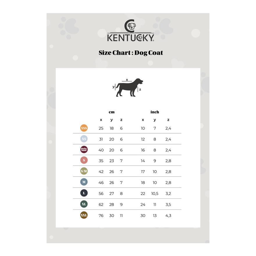 Hundemantel Wasserdicht 160g - Dusty Blue Hundemantel Wasserdicht 160g - Dusty Blue