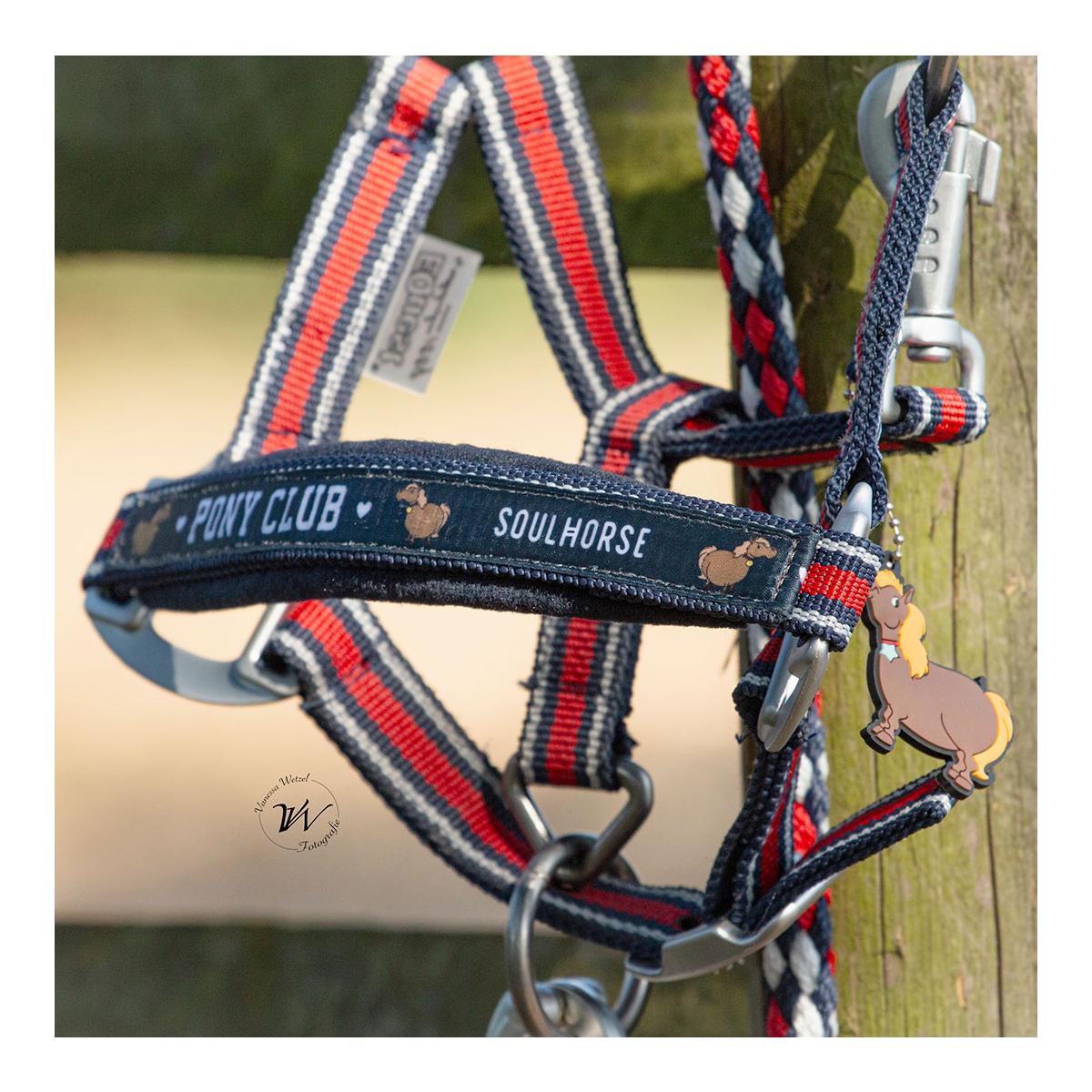 Halfter Dual Alu "Pony Club"