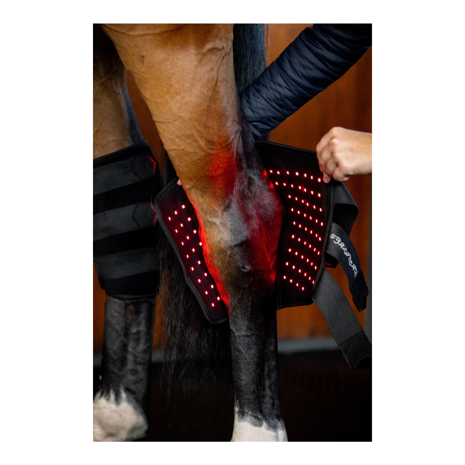 Horseware LED Red Light Therapy Hock Boots Pair