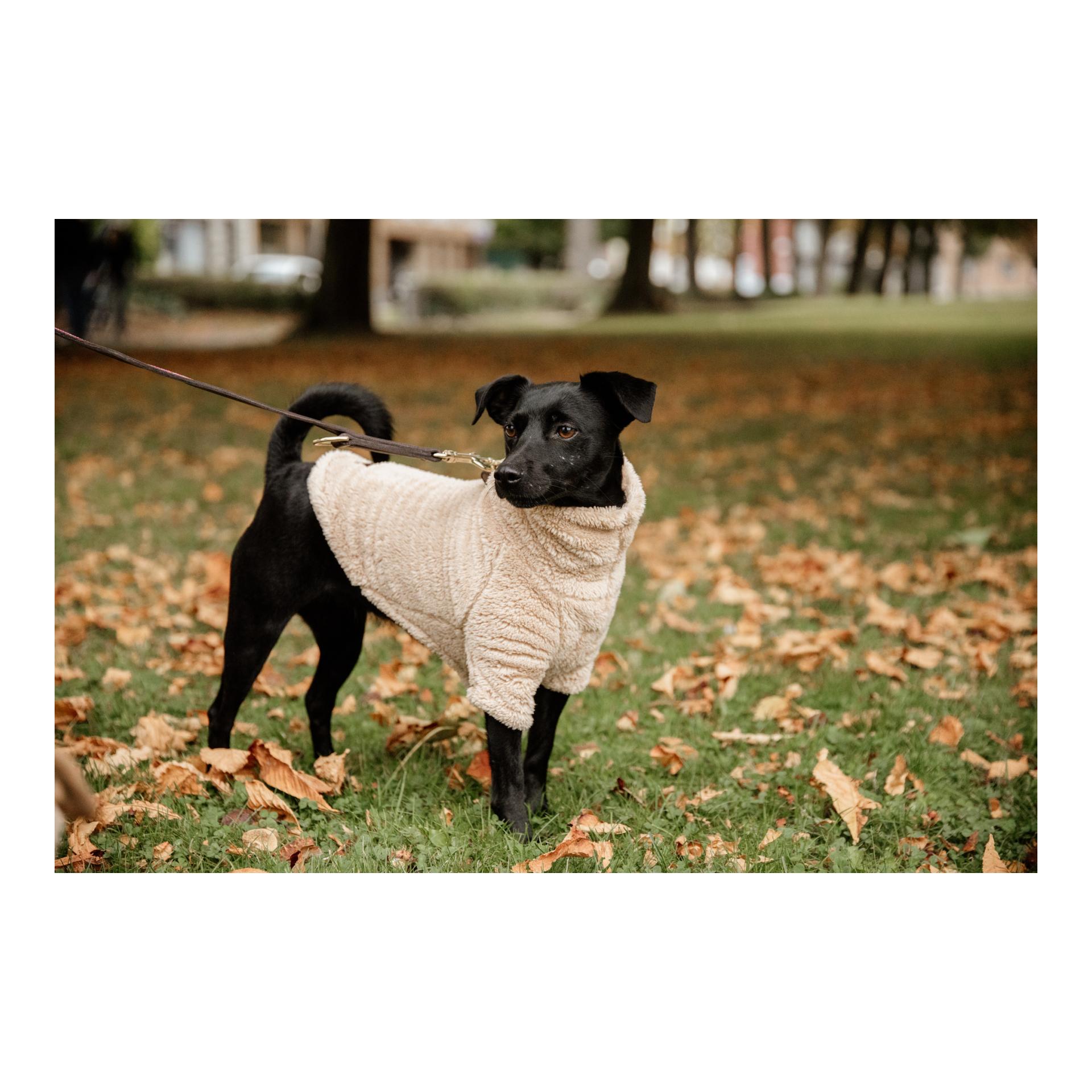 Hundepullover Teddy Fleece - beige Hundepullover Teddy Fleece - beige