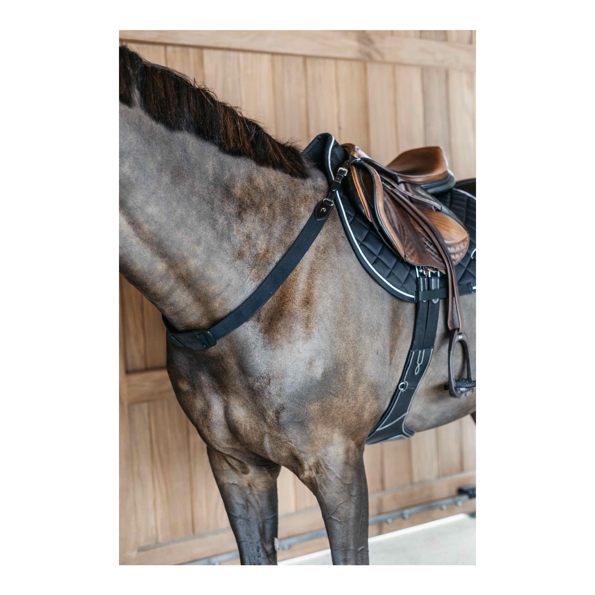 Brustband Elastisch New English Collection Brustband Elastisch New English Collection