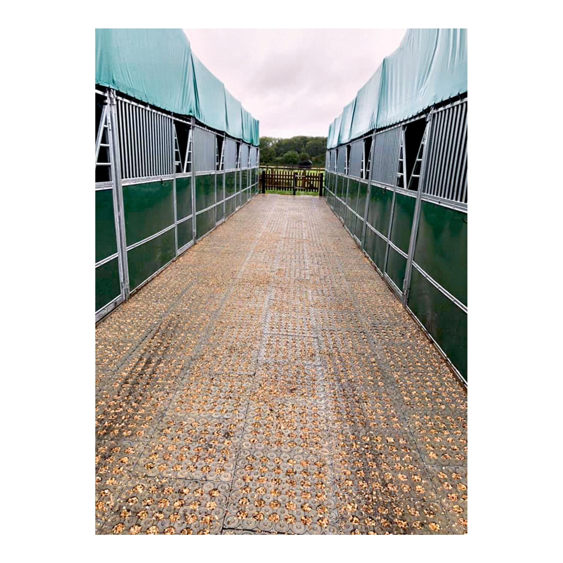 Hauptner Dalle INB Paddock