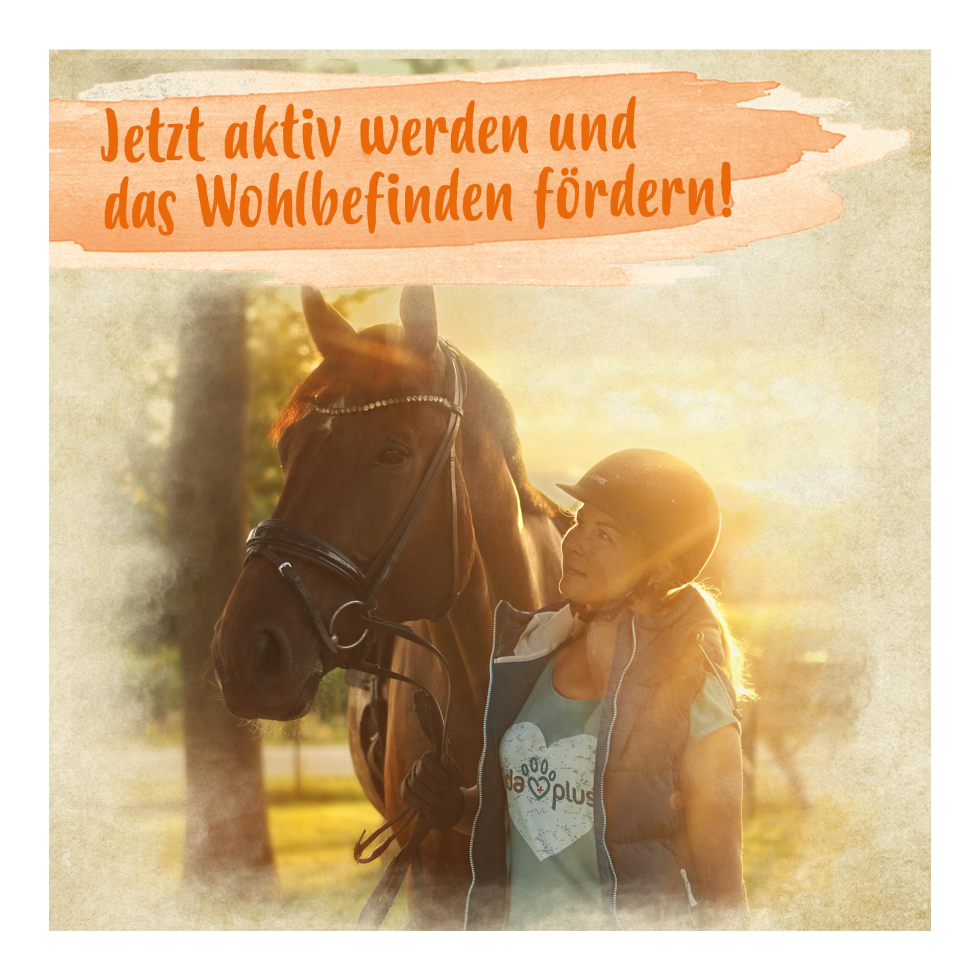 Bierhefe Bt - Futterergänzung für glänzendes Fell & kräftige Haut