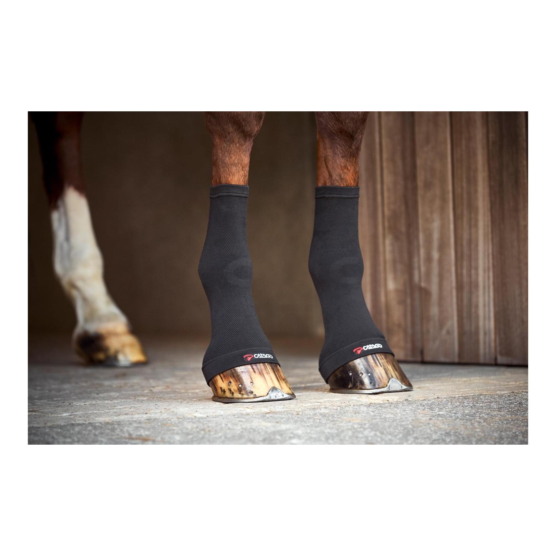 Catago Chaussettes de cheville FIR-Tech