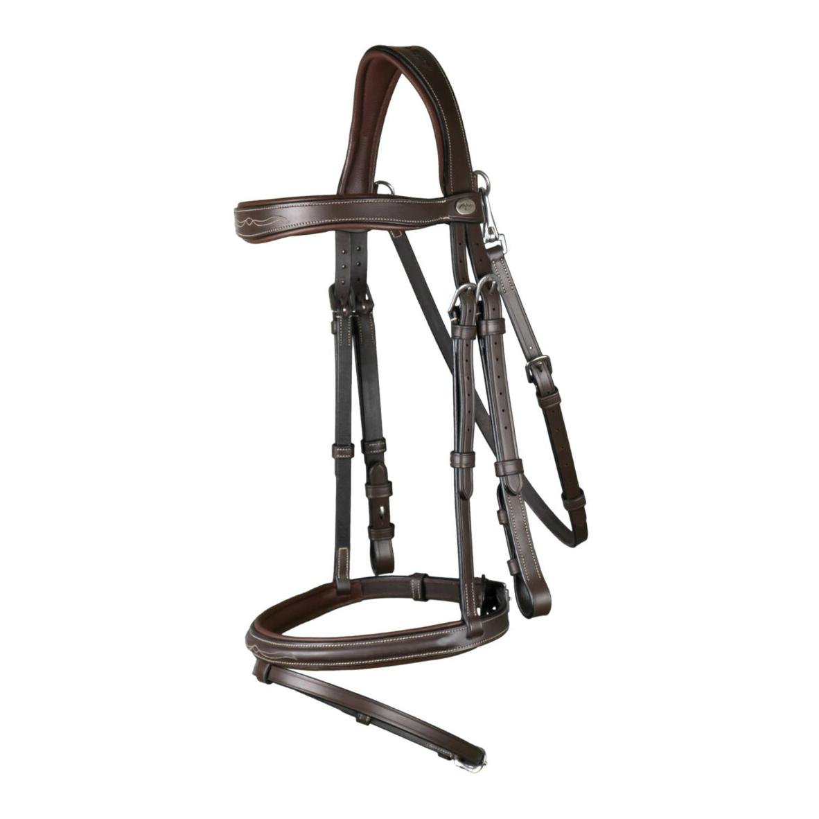 Zaum mit kombiniertem Reithalfter und Karabiner Zaum mit kombiniertem Reithalfter und Karabiner