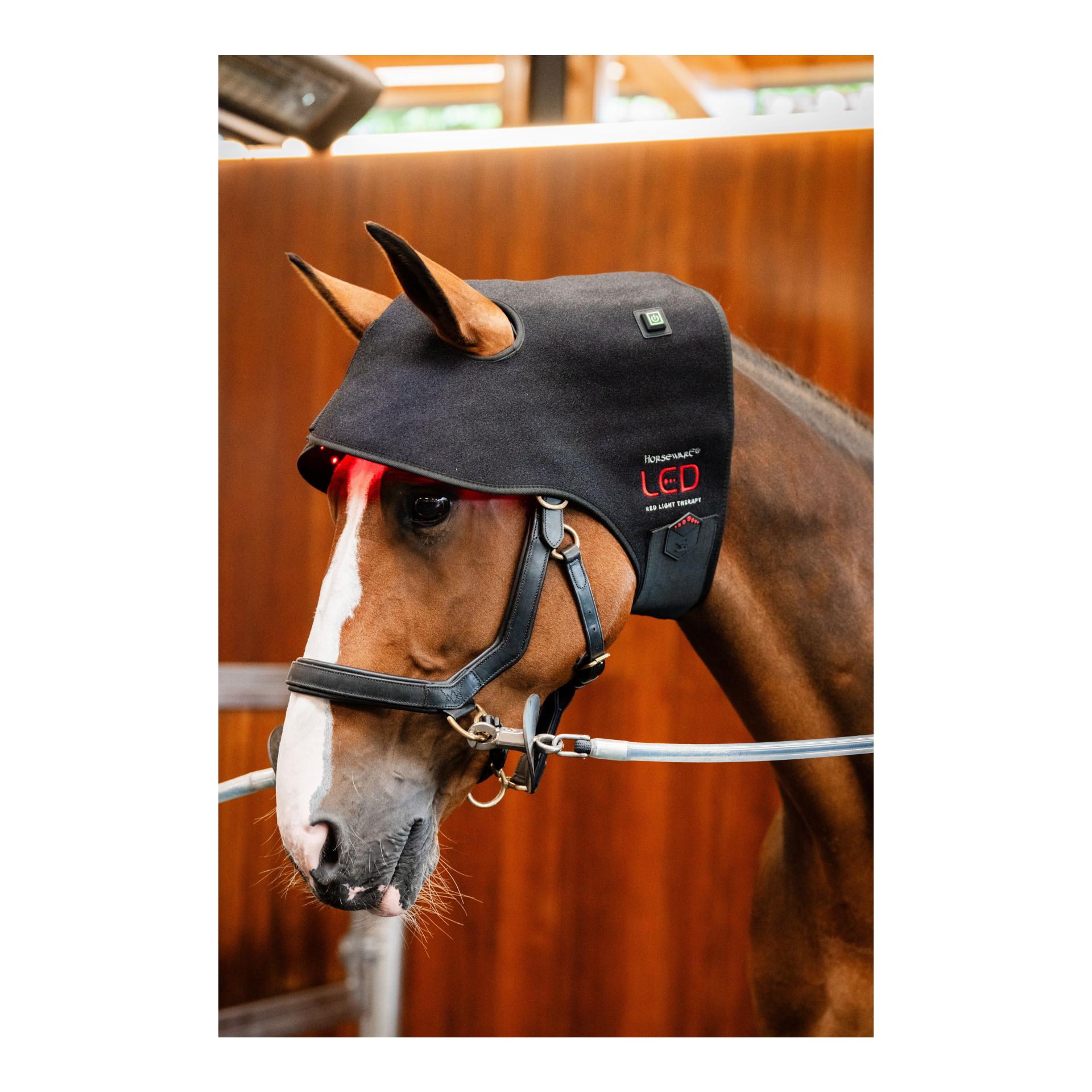 LED Red Light Therapy Poll Cap