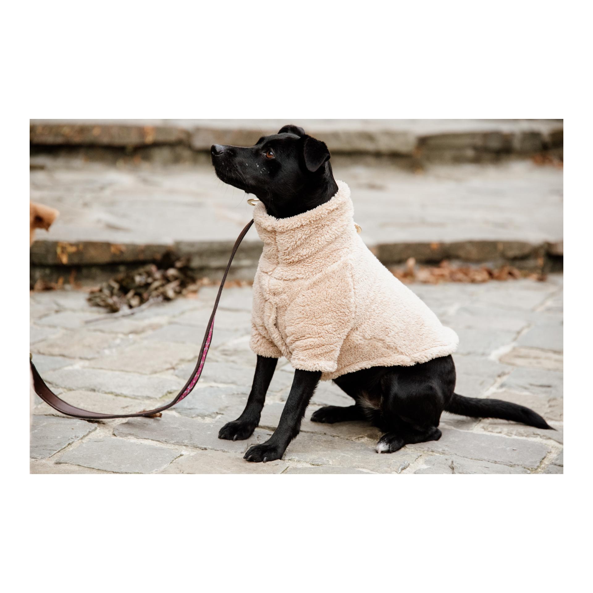 Hundepullover Teddy Fleece - beige Hundepullover Teddy Fleece - beige