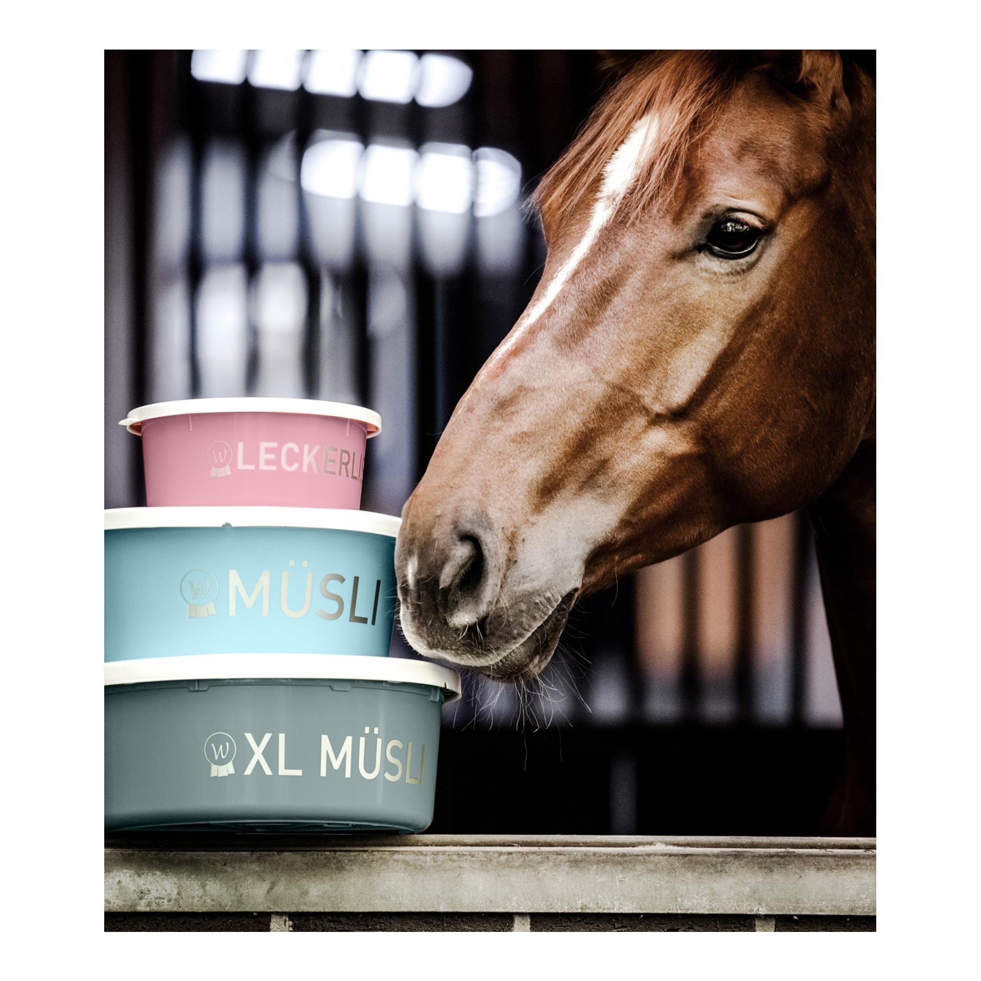 Waldhausen Müsli-Schale mit Deckel