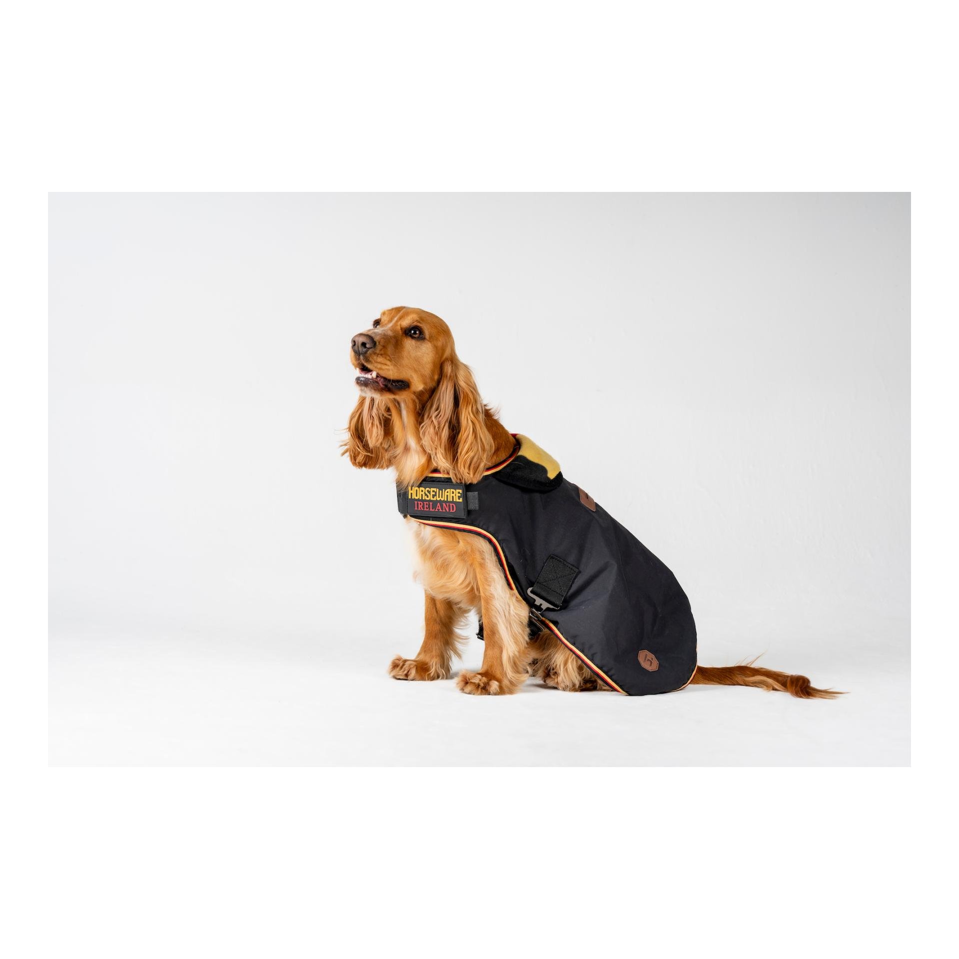 Hundedecke Newmarket
