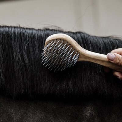 RS-KAT-Maehne_Schweif