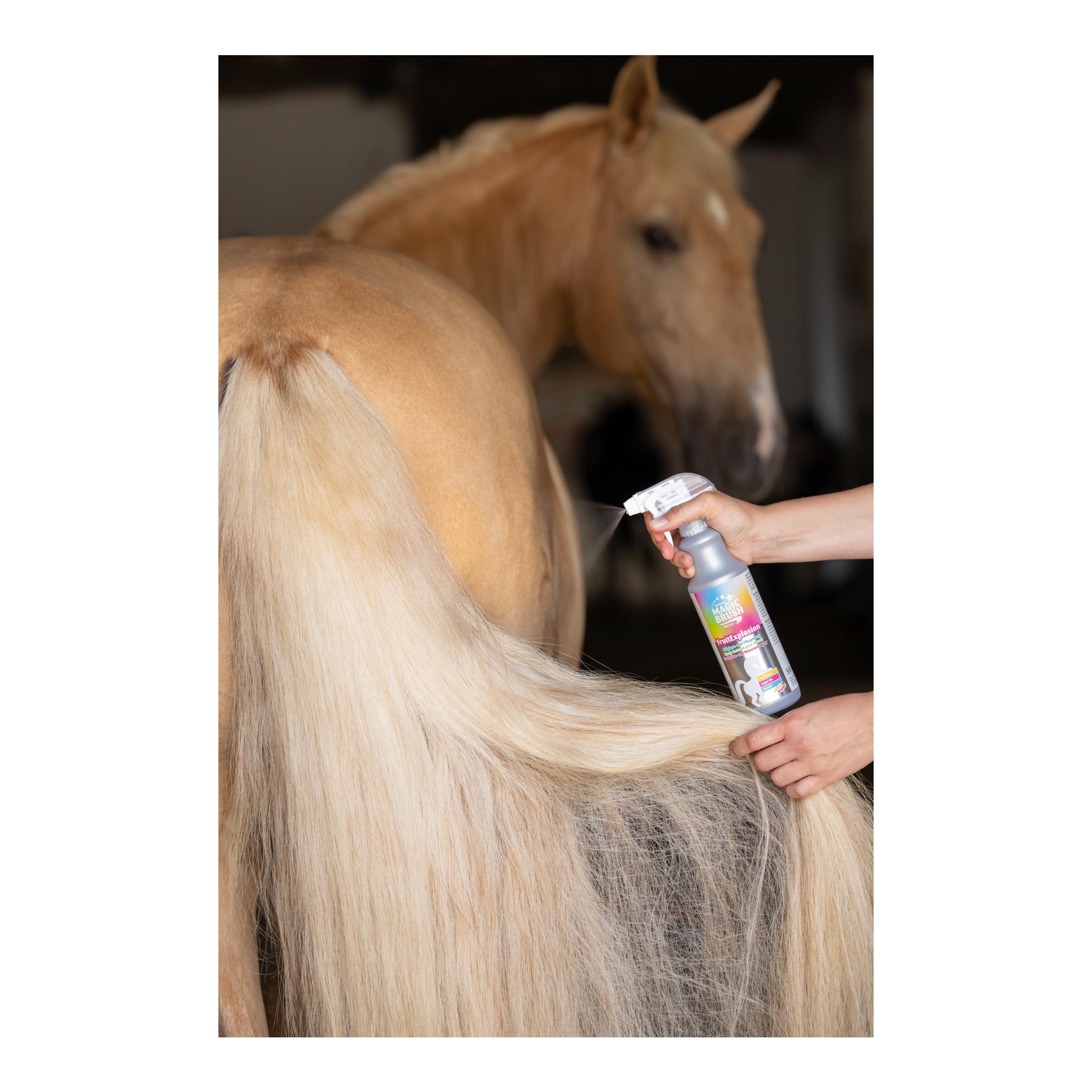 ManeCare Premium Fellglanzspray FruitExplosion