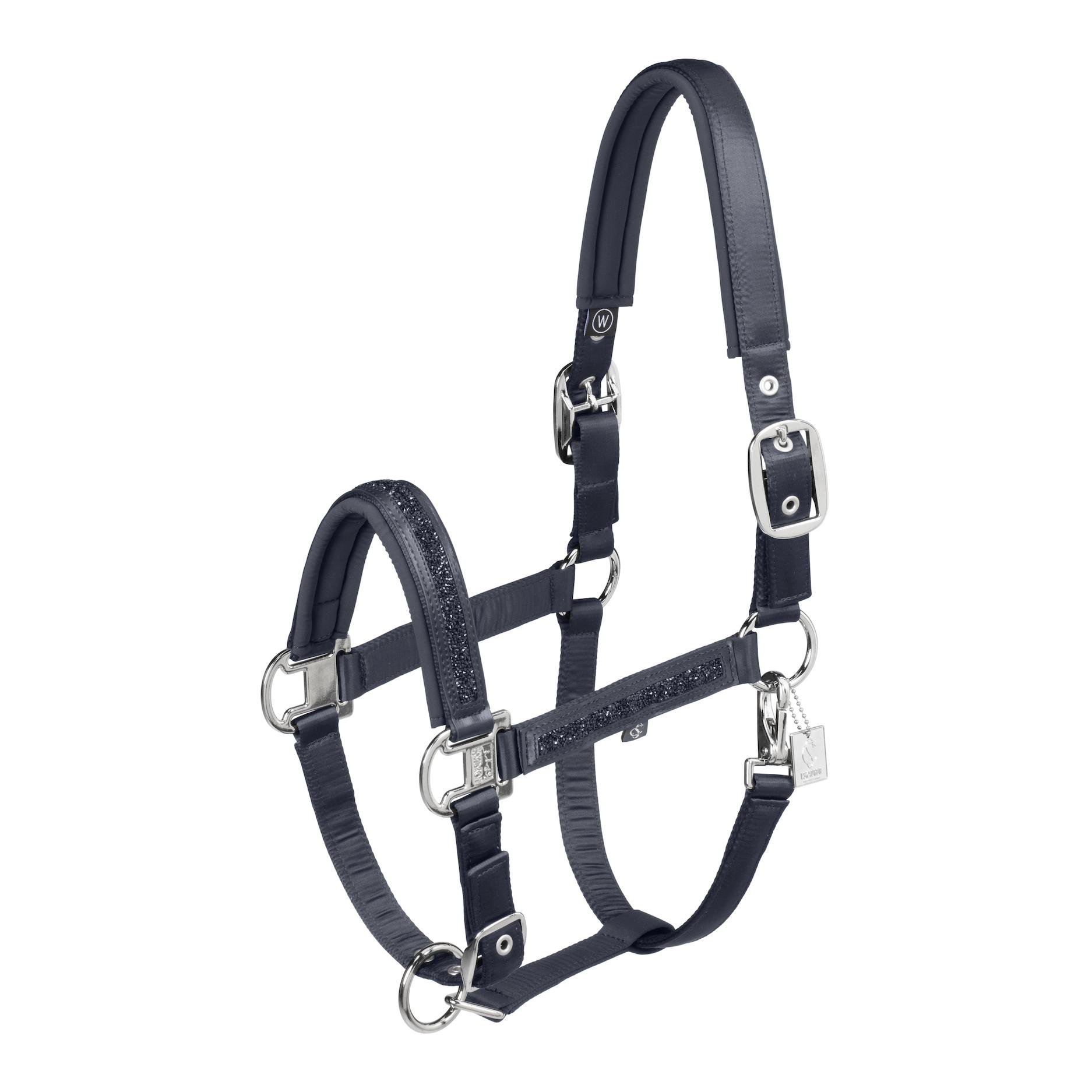 Halfter MATTGLOSS JEWEL DOUBLE PIN Classic Sports 25 Halfter MATTGLOSS JEWEL DOUBLE PIN Classic Sports 25