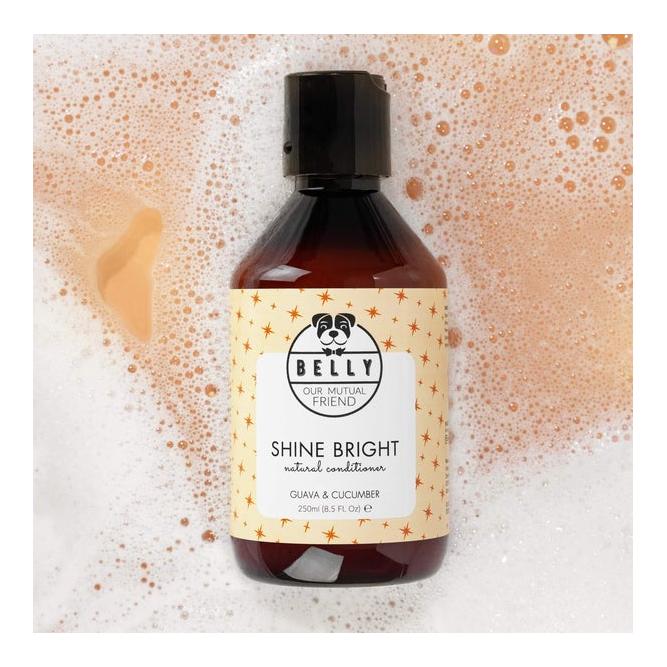 Shine Bright Conditioner Shine Bright Conditioner
