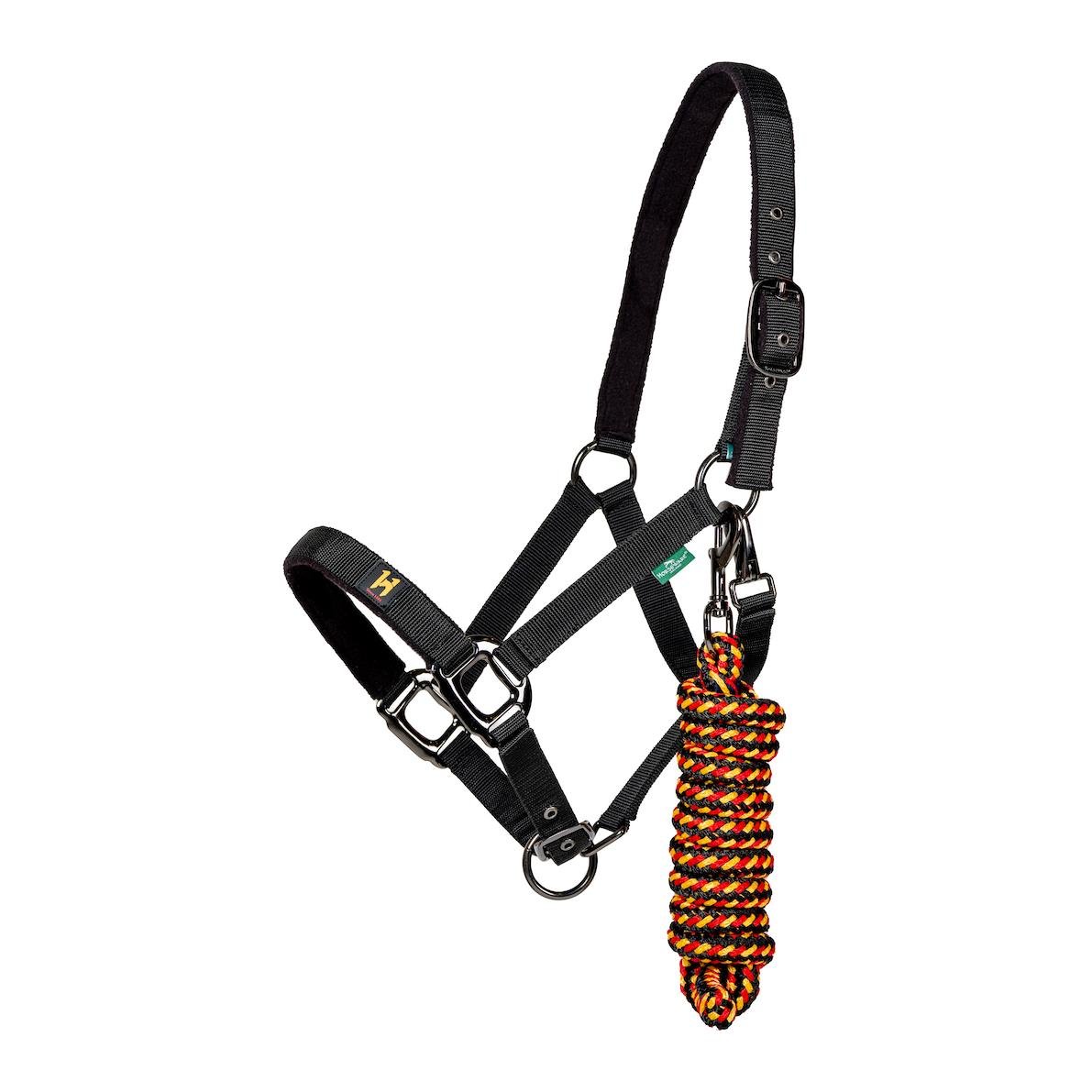 Halfter und Führstrick Newmarket