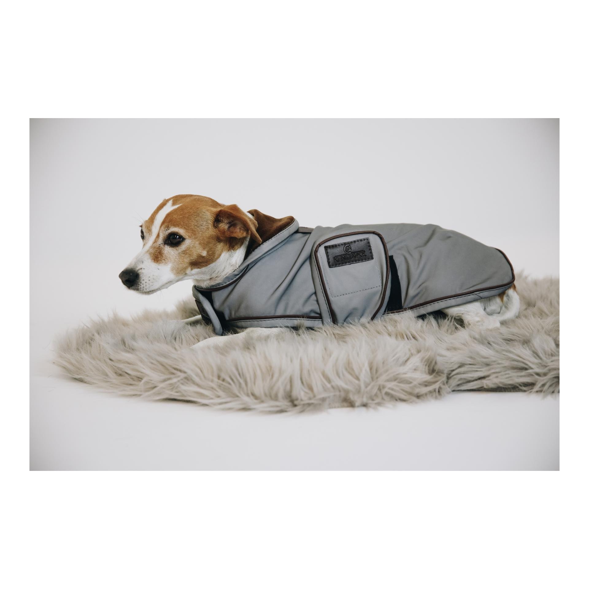 Hundemantel reflektierend & wasserabweisend Hundemantel reflektierend & wasserabweisend
